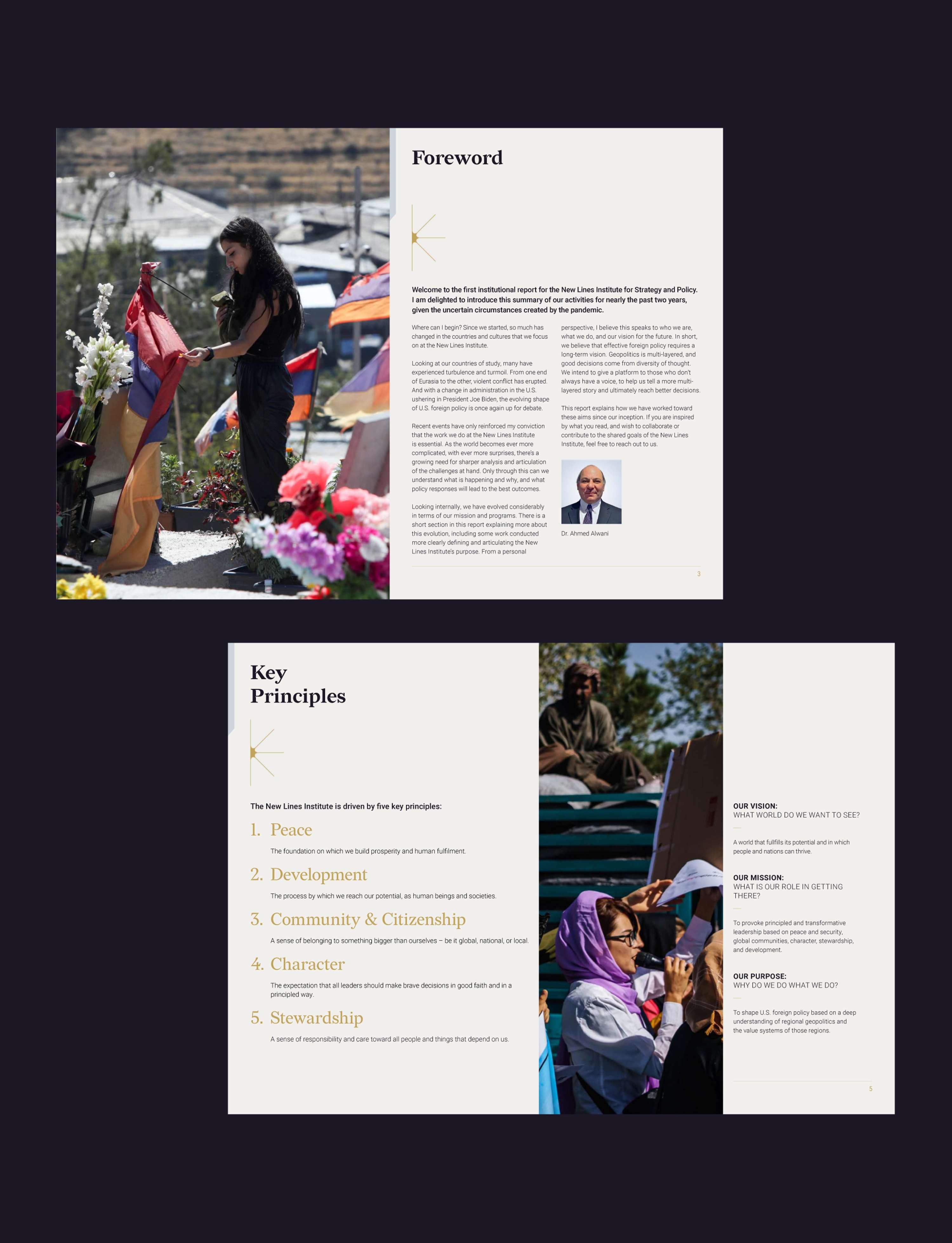 New Lines Institute – Branding by Justine Hyde-Mobbs