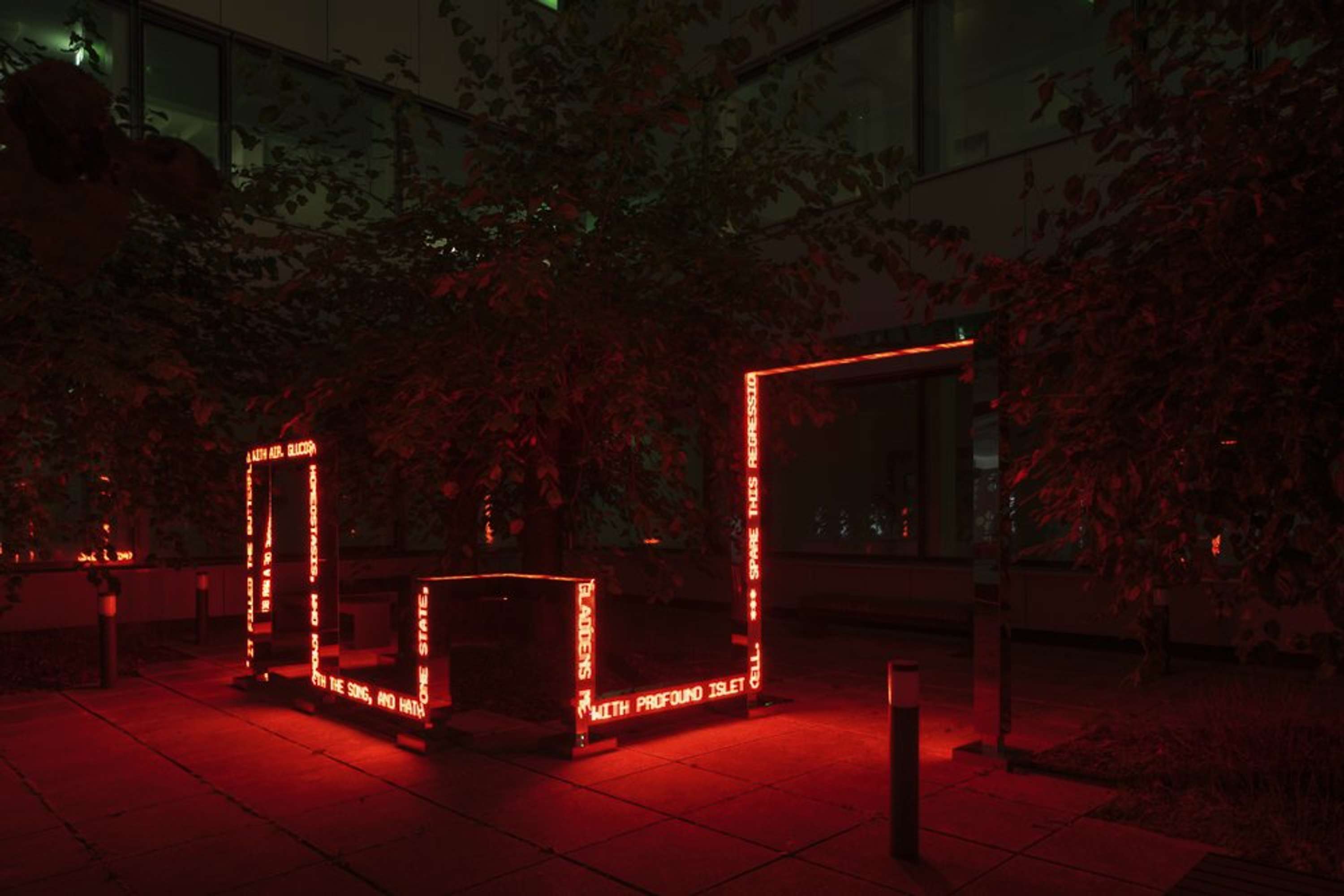 Garden of forking paths by Yves Peitzner