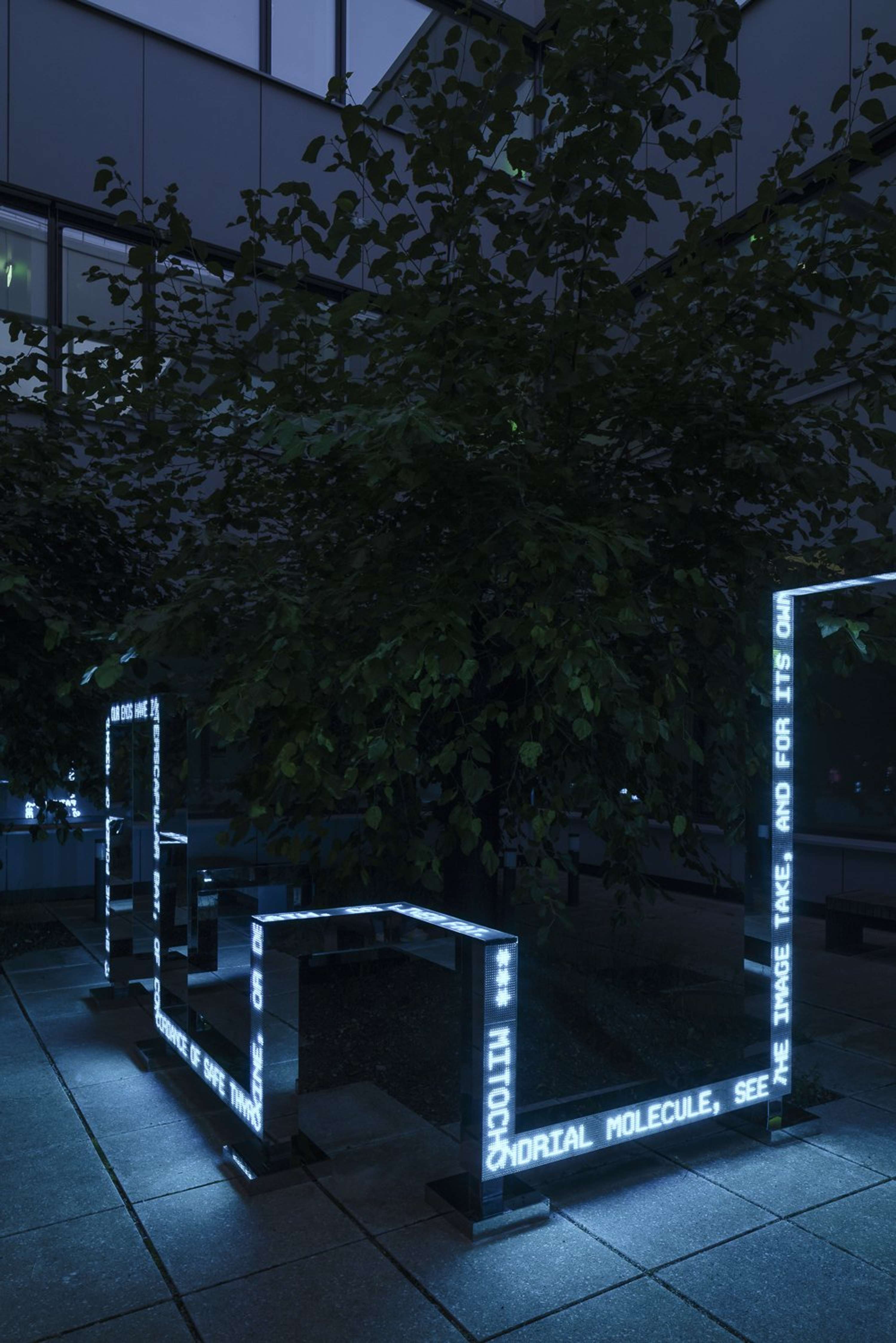Garden of forking paths by Yves Peitzner
