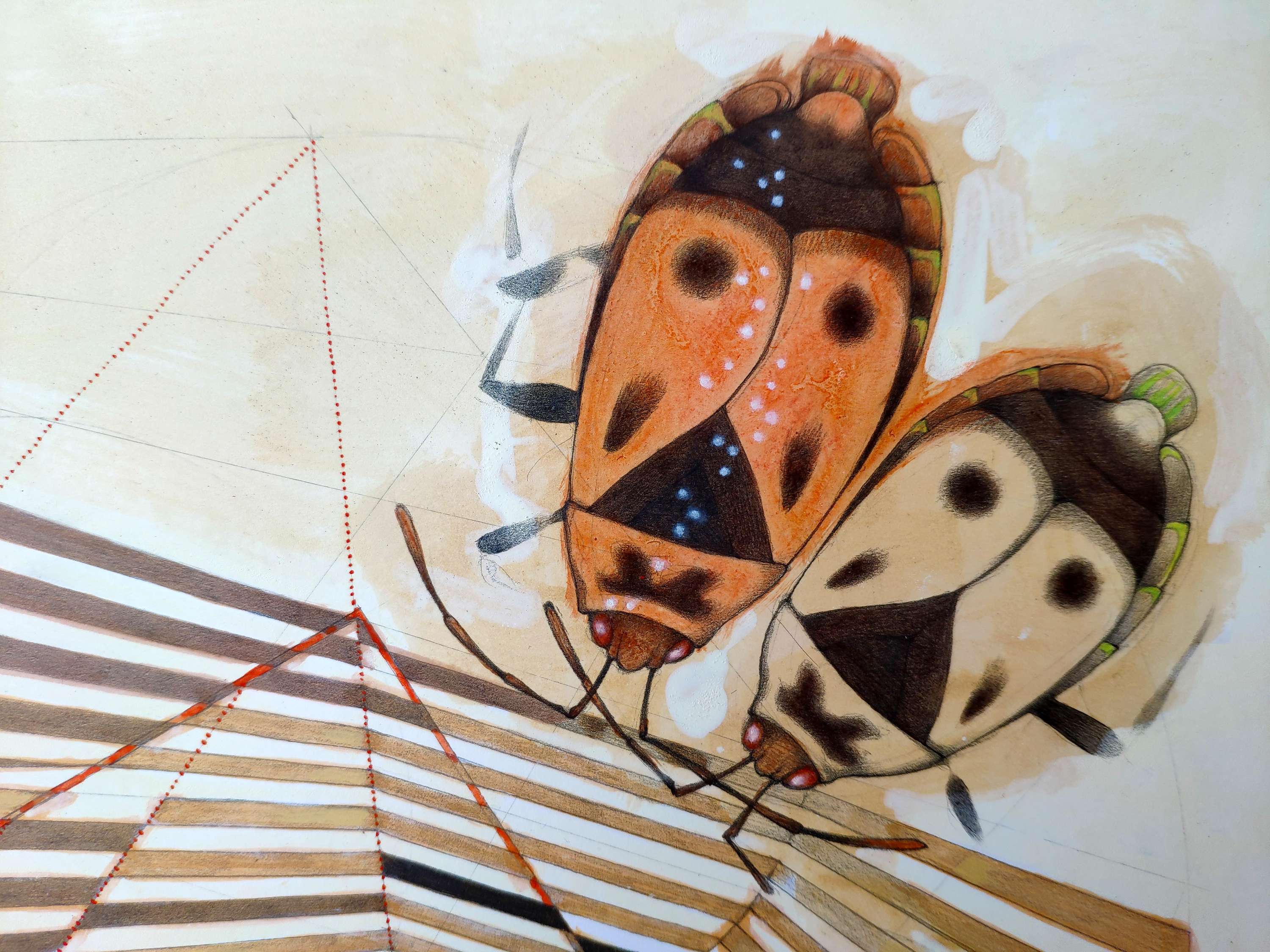 The measurement of space by federico cortese