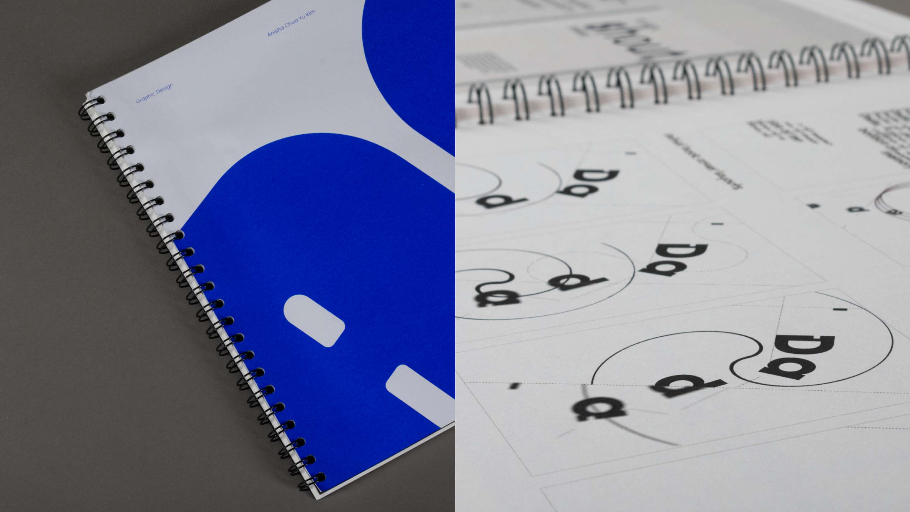Personal Branding: Promotion & Employability by Anisha Chua
