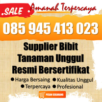 TELPON SEKARANG ✔ WA 085 945 413 023 Agen Penjualan Bibit Tanaman Mangga Sala Kirim Ke Kab. Lingga, Kepulauan Riau logo
