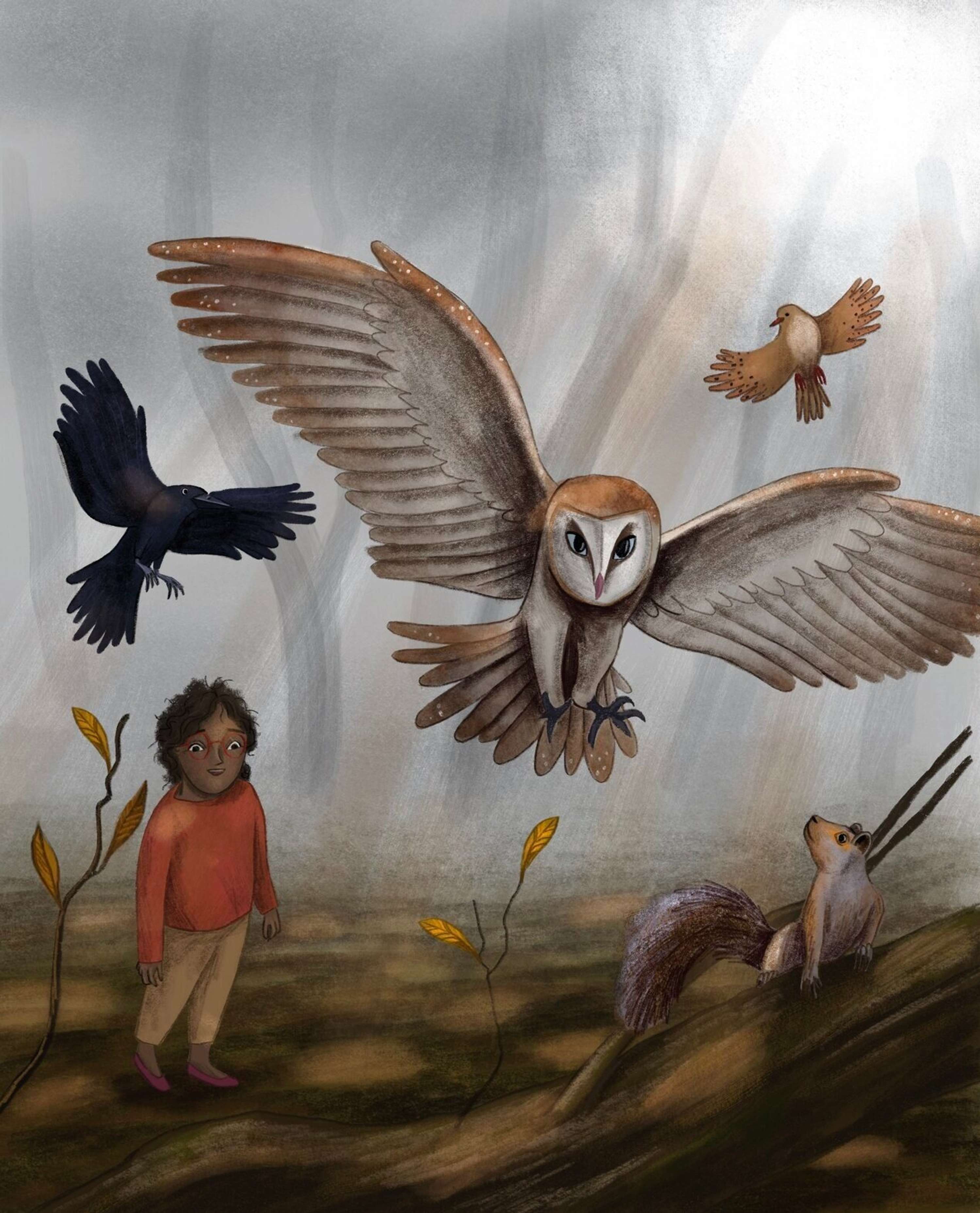 The Owl in the Mirror by Rose Wilkinson