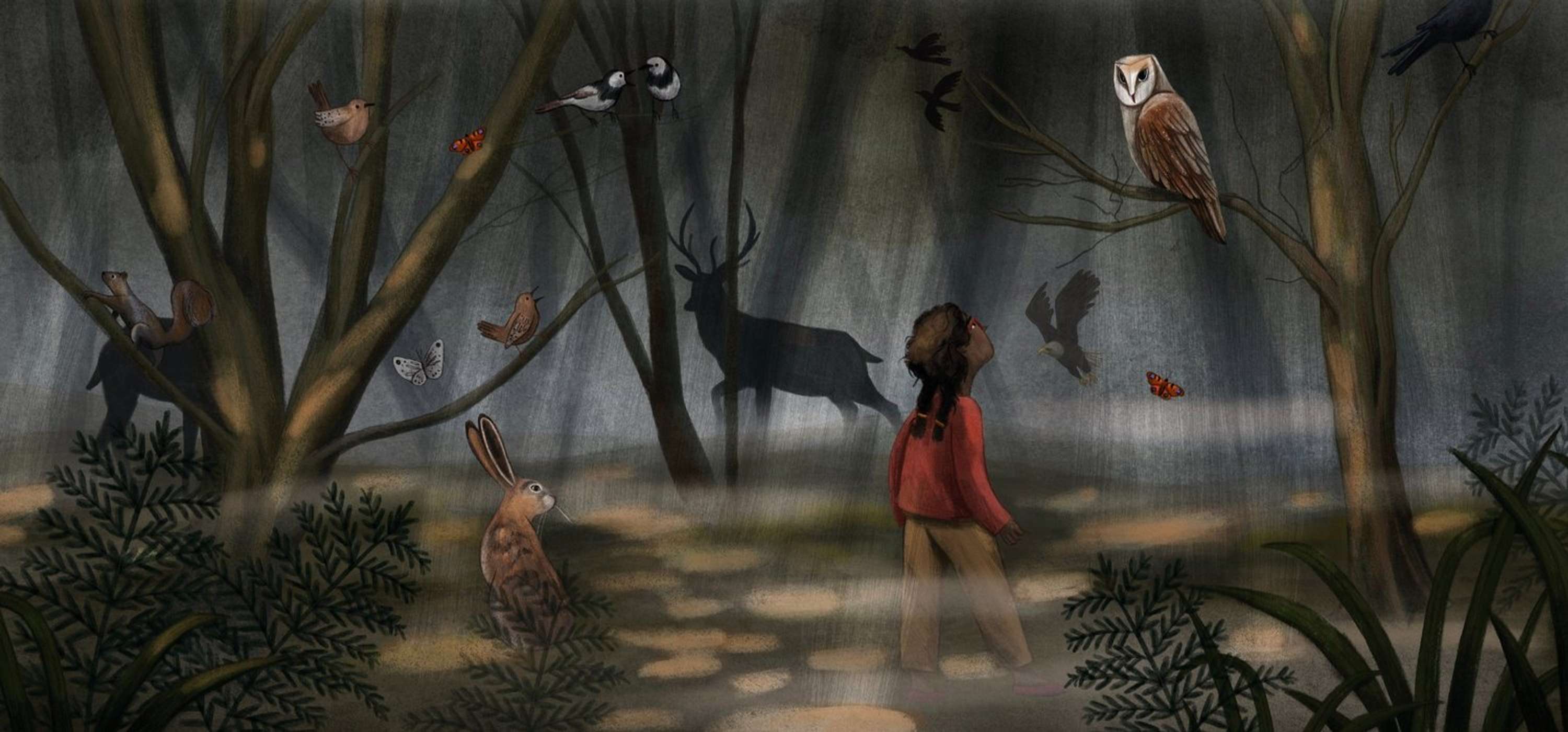 The Owl in the Mirror by Rose Wilkinson