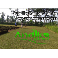 0857 3259 0133, Distributor Rumput Gajah Mini Serang logo