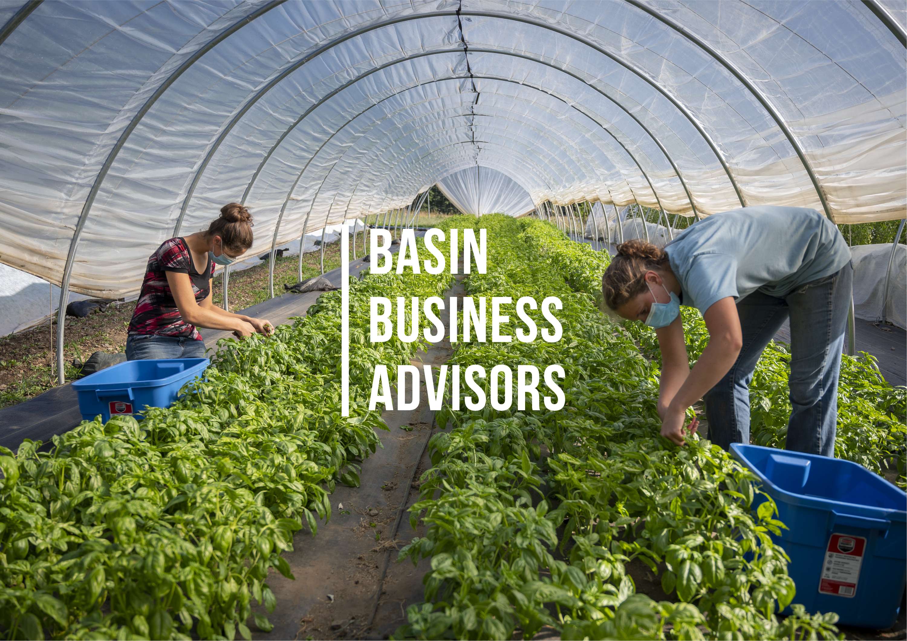 Basin Business Advisors by Sarah Burgess