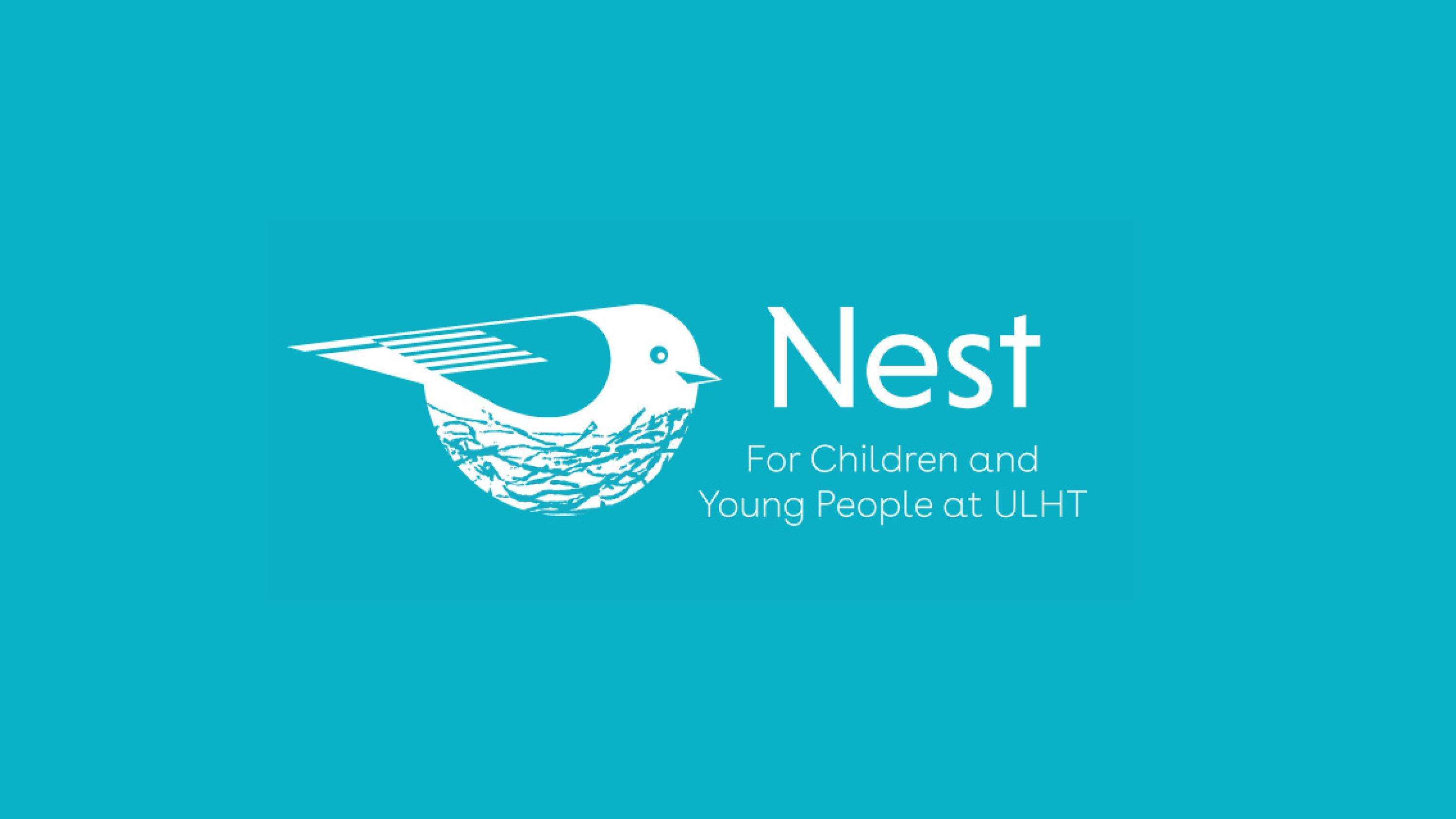 Nest by Erin McIntosh