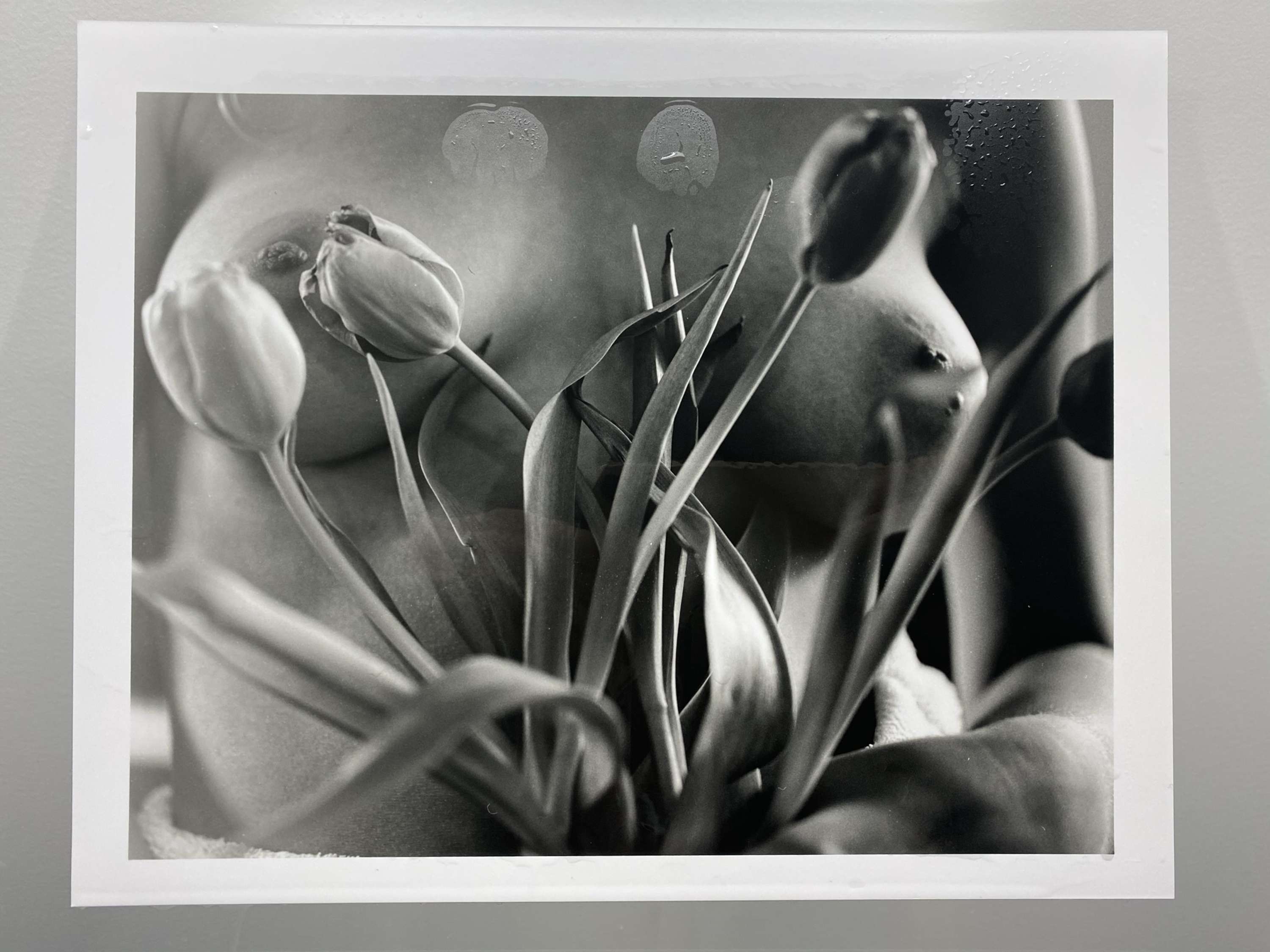 darkroom prints x by Austin Philp
