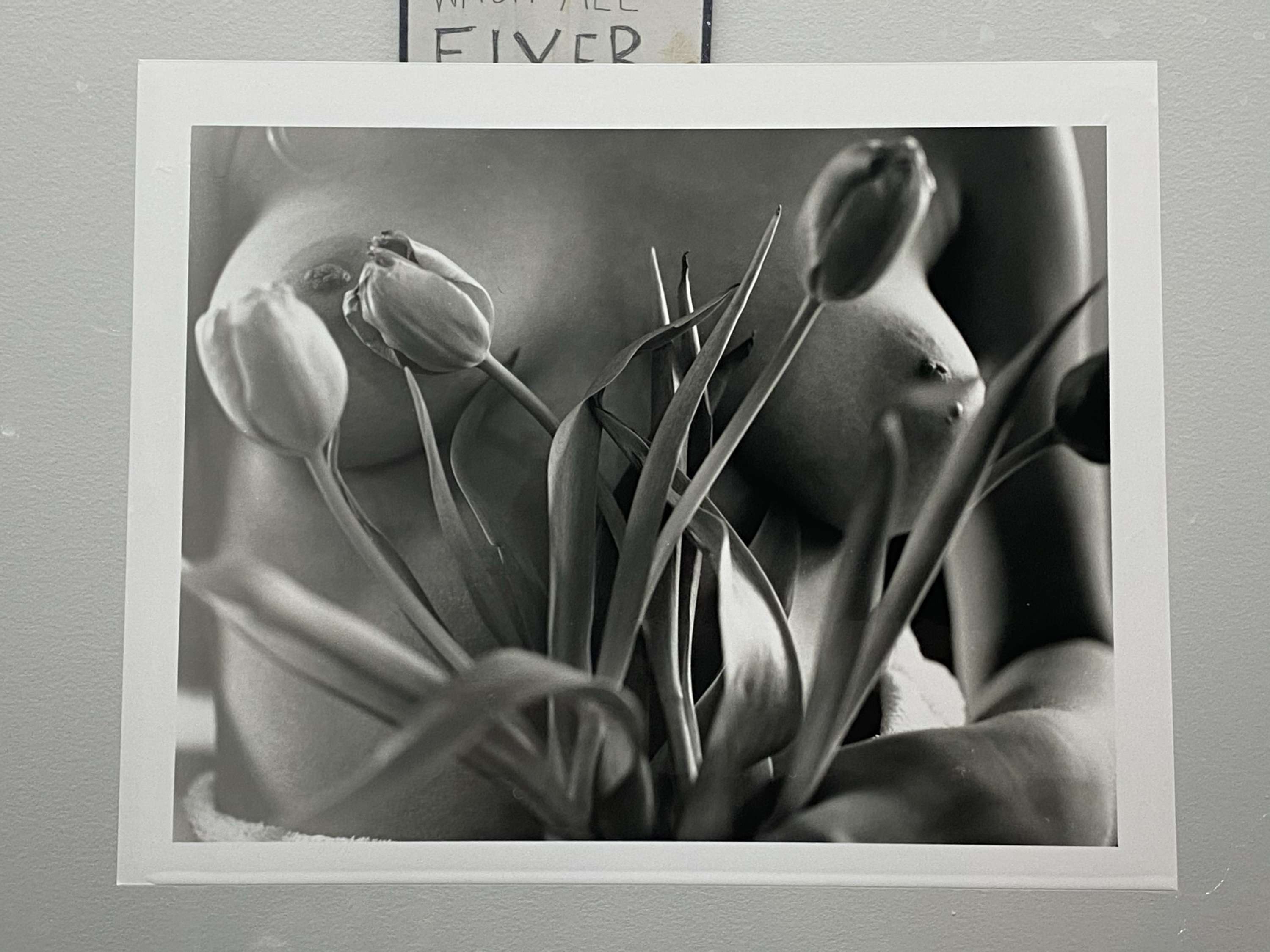 darkroom prints x by Austin Philp