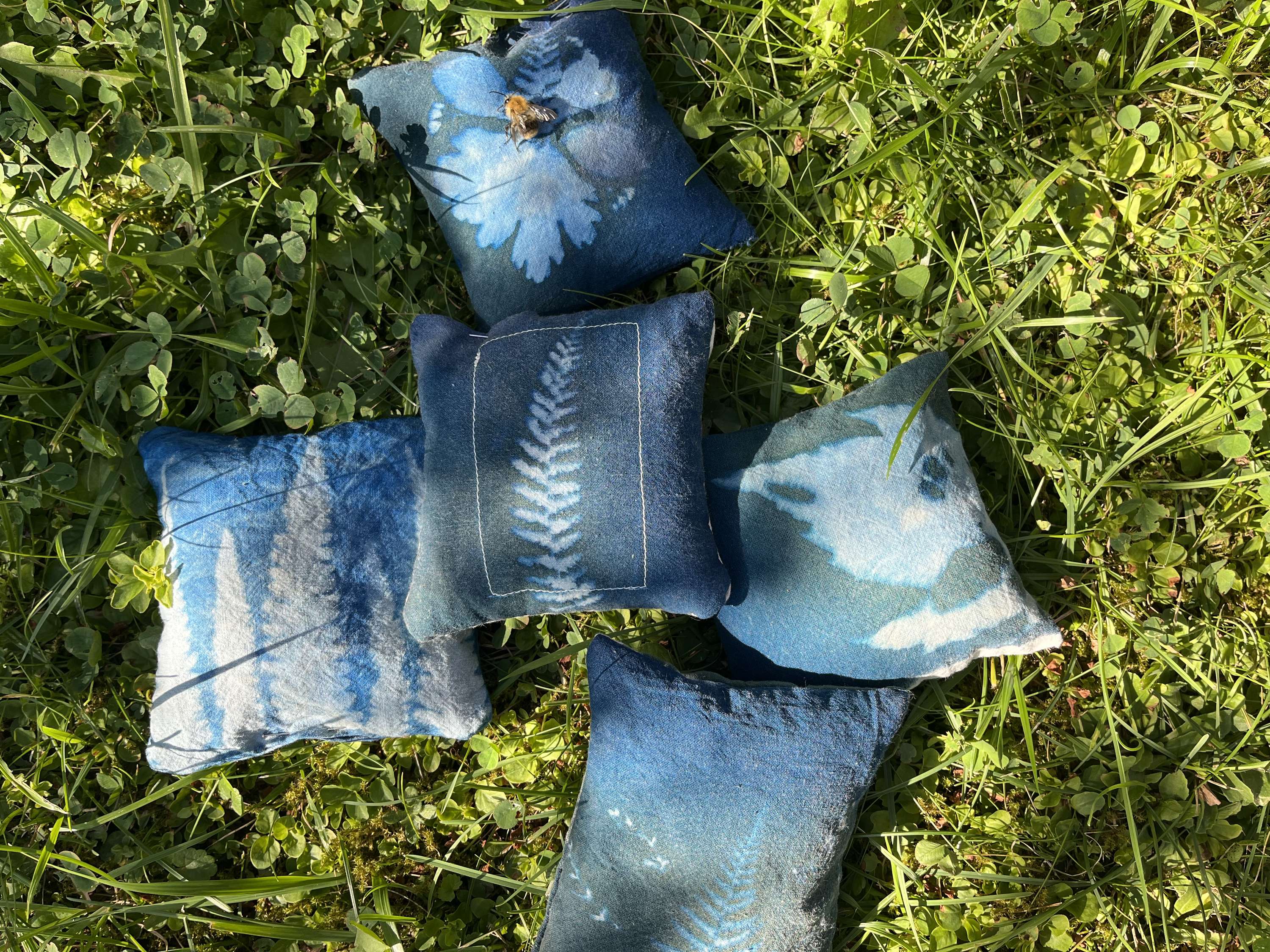 Cyanotype and Anthotype Prints by Antonia Kazmeier