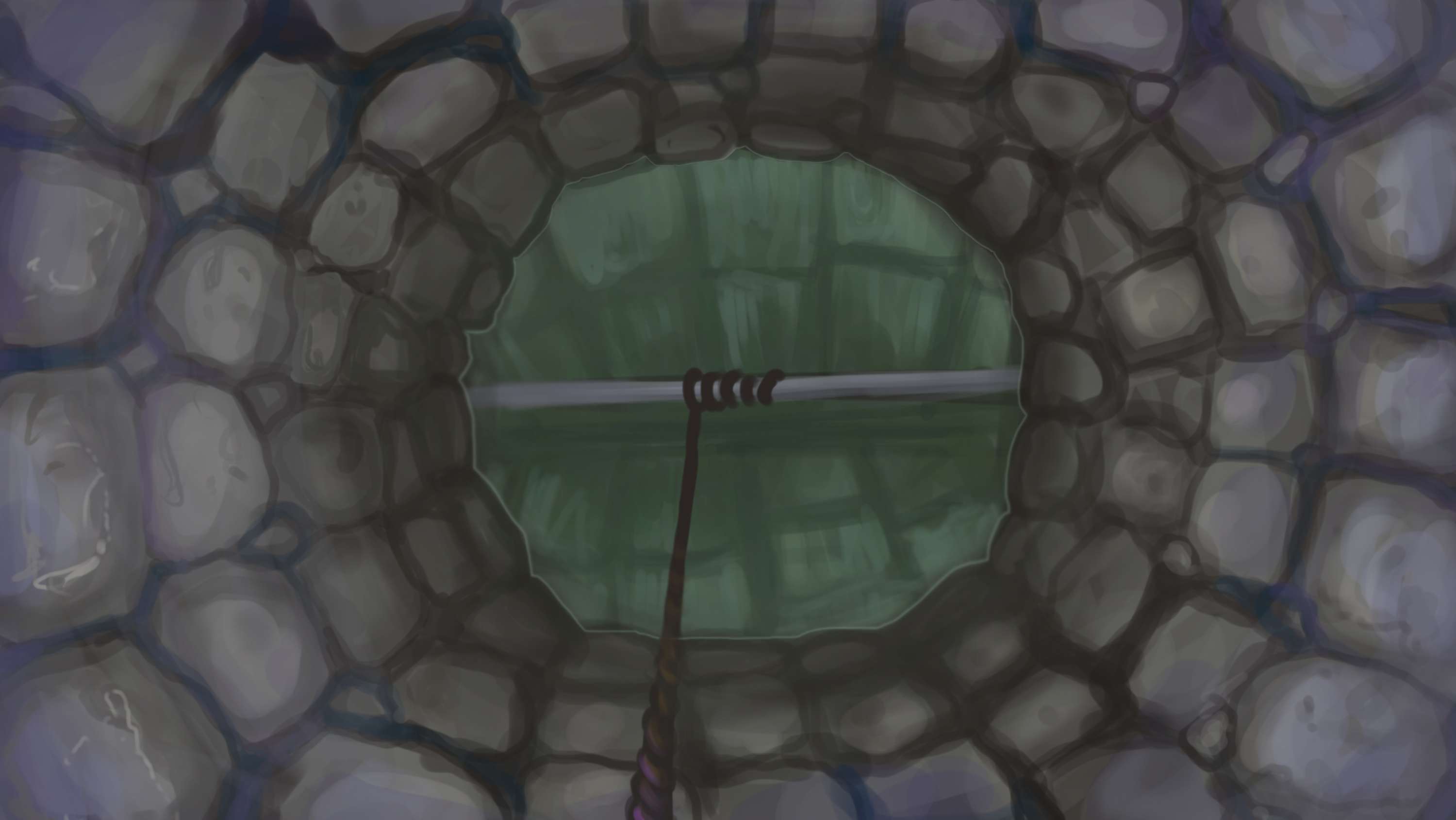 Background design by Daria Terenteva