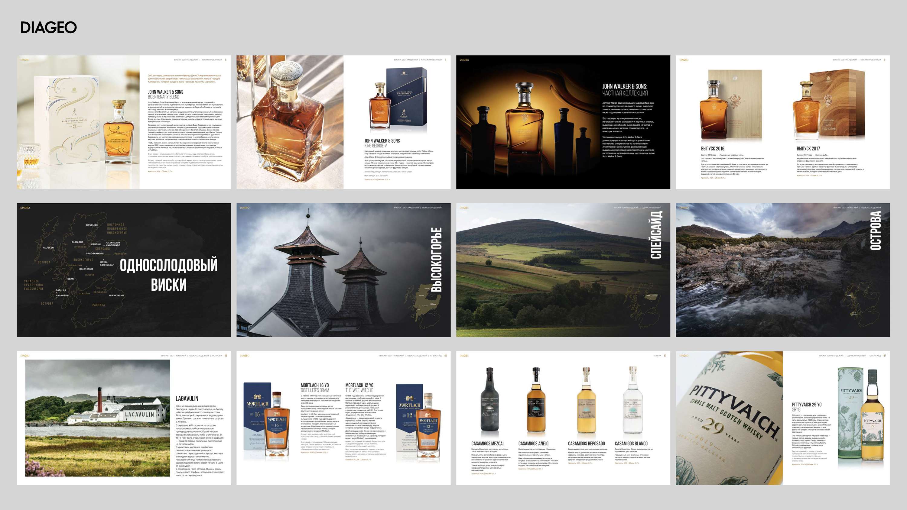 Presentation for DIAGEO by Anastasia Kudrina