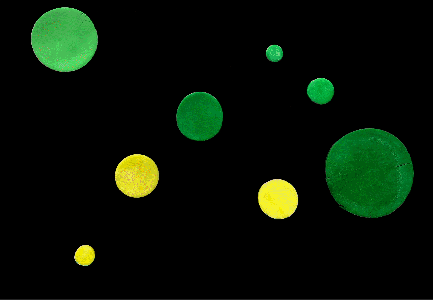 Stop Motion animations ⊰(◕◡◕)⊱ by Nell Kyd