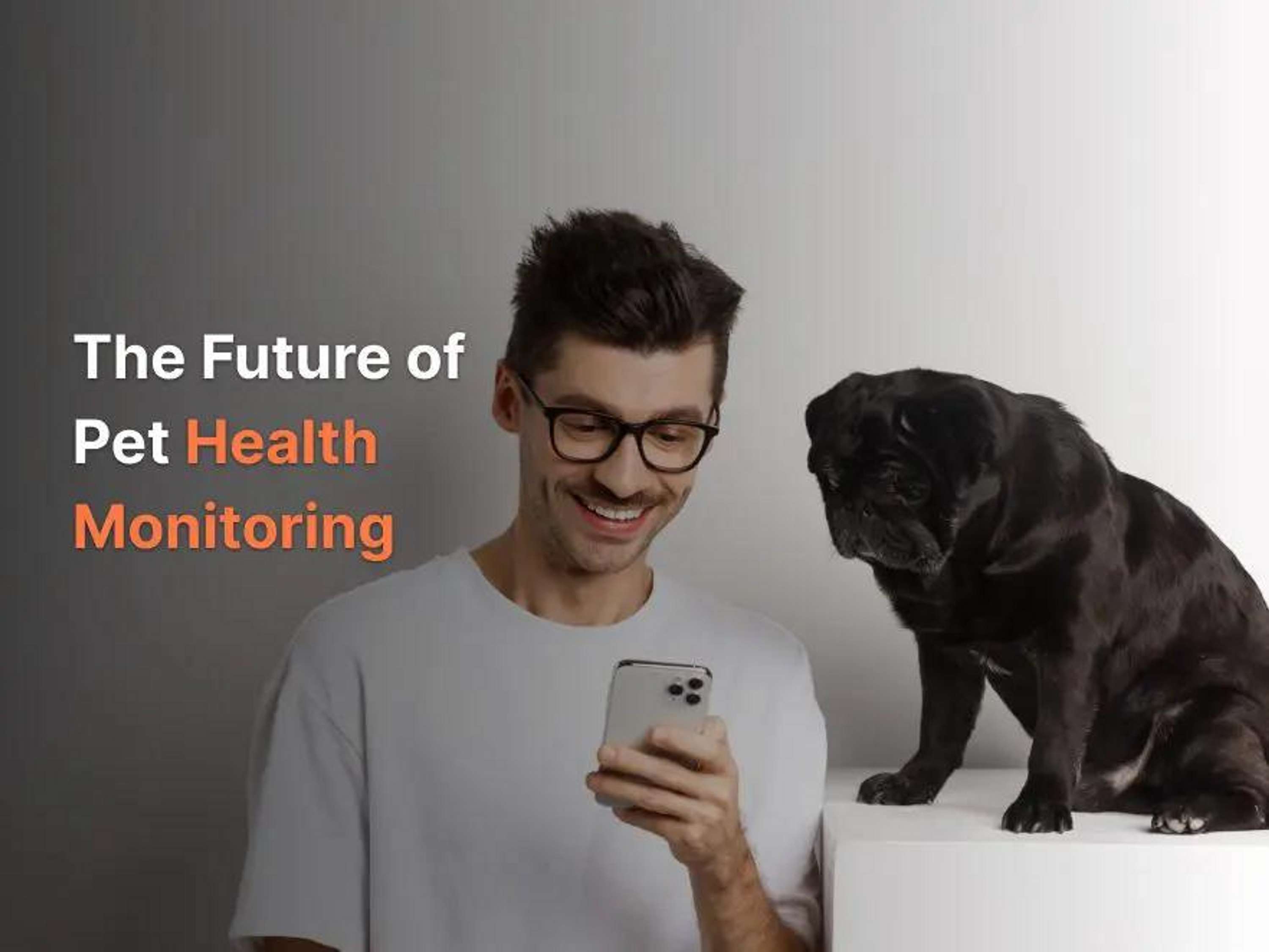 From Paws To Pixels: The Future Of Pet Health Monitoring by FirmPet App