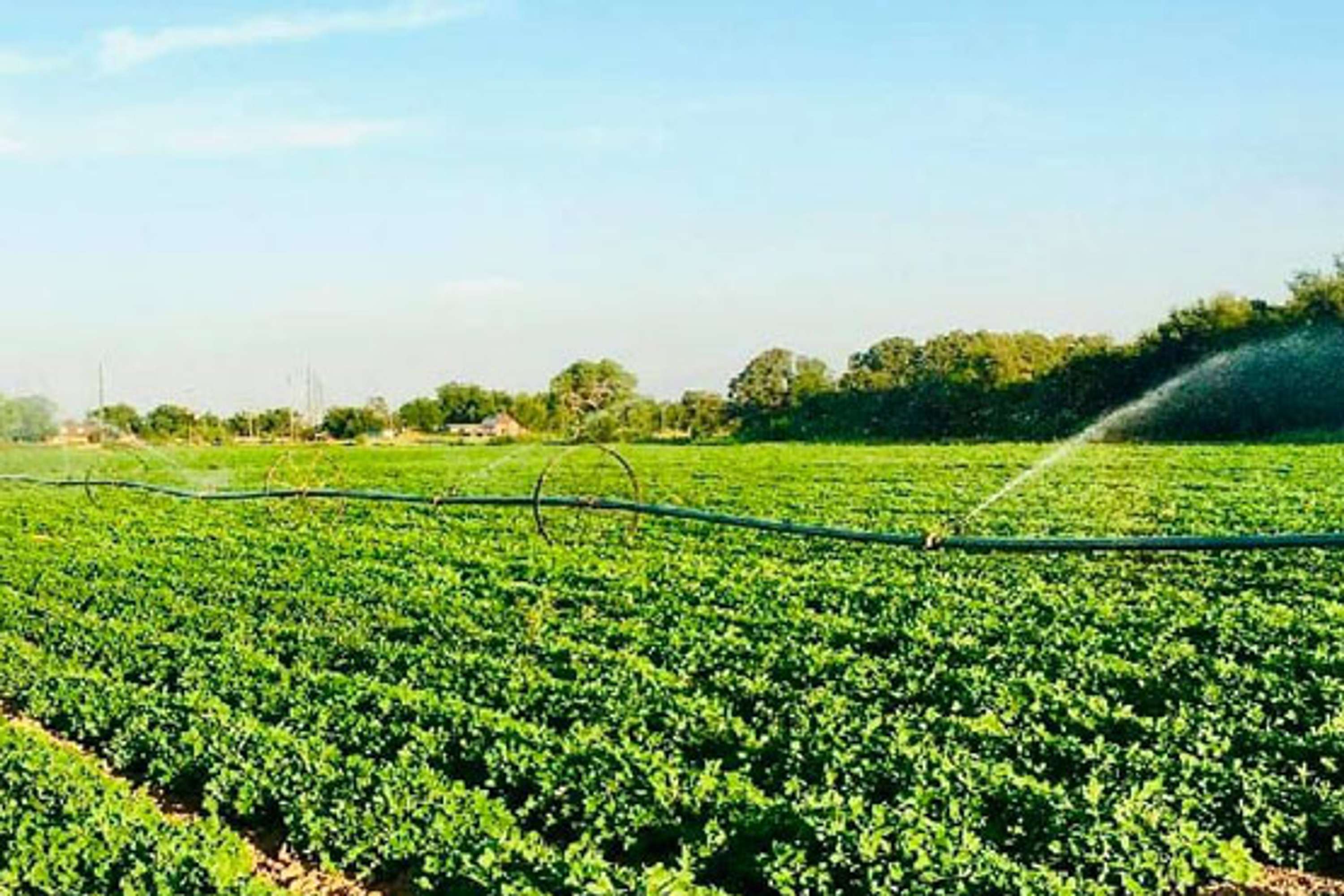 The Essential Guide to Irrigation Repair To Keep Your System in Peak Condition by Circle K Irrigation