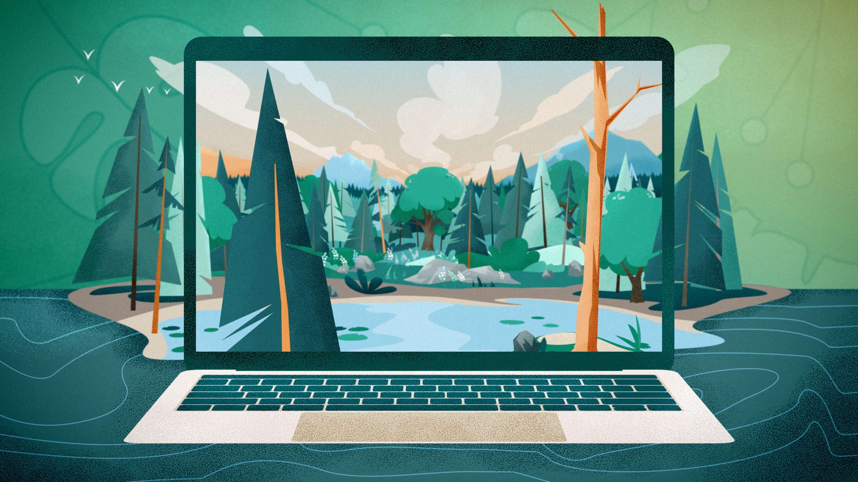 Better Place Forests. How it works by Eugene Borodulin