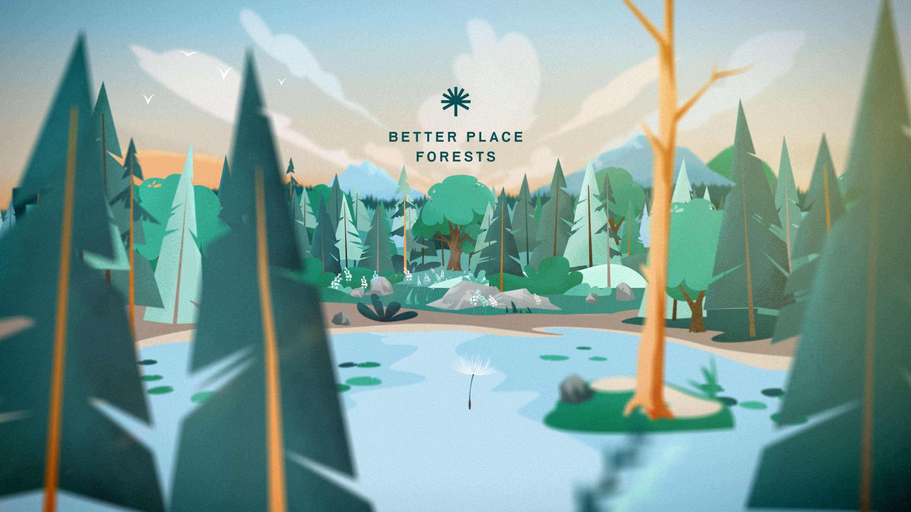 Better Place Forests. How it works by Eugene Borodulin