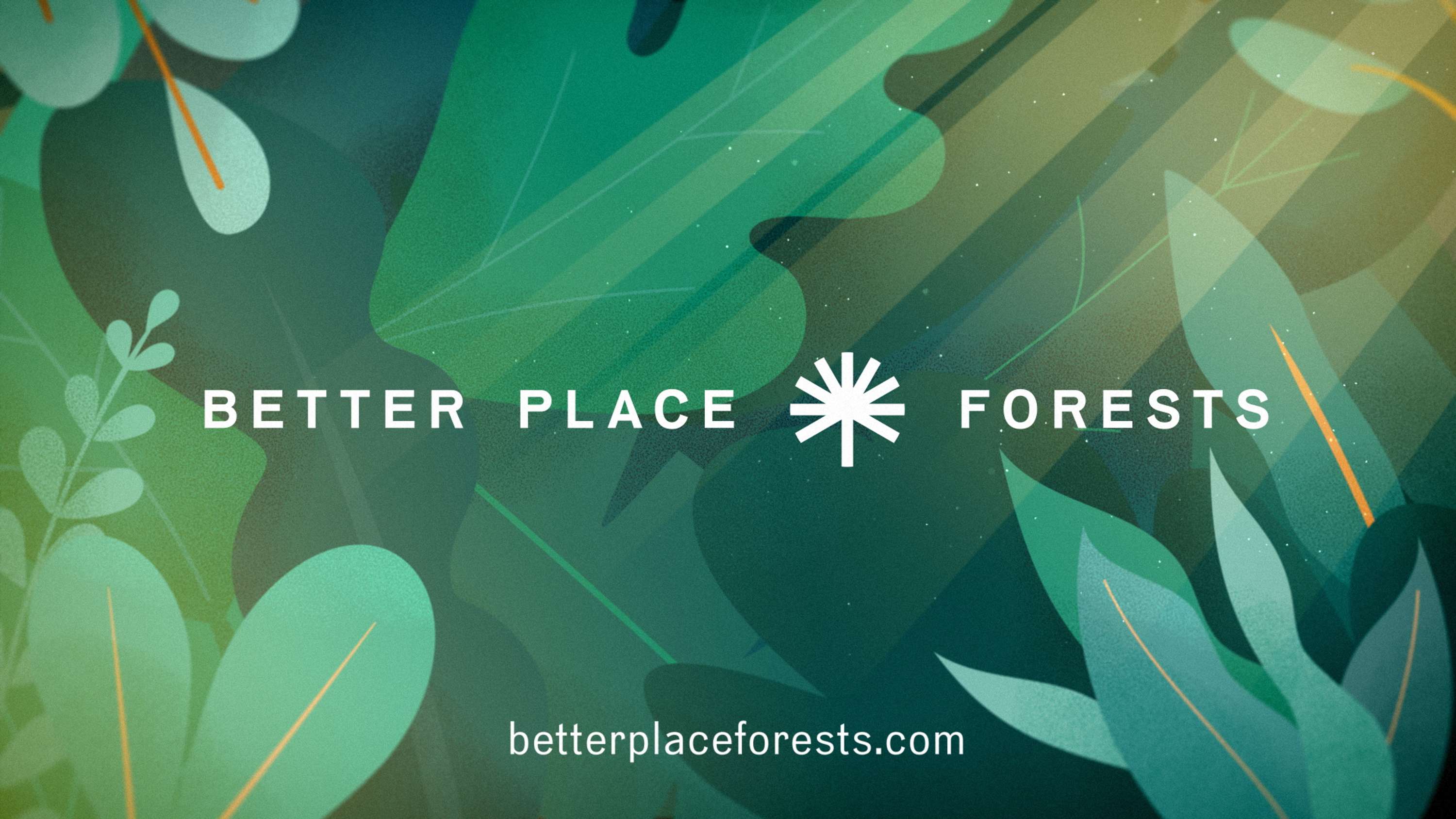 Better Place Forests. How it works by Eugene Borodulin