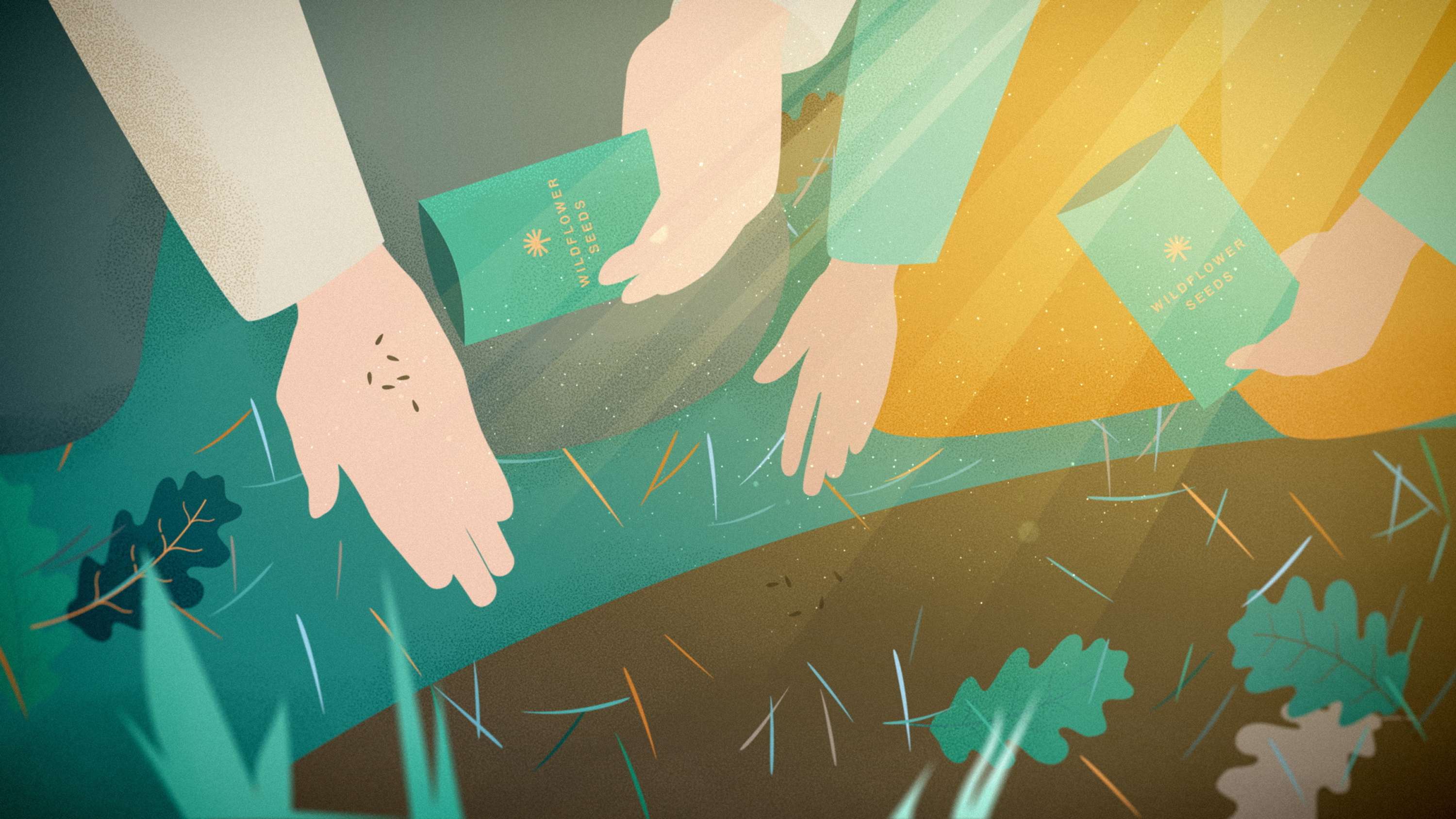 Better Place Forests. How it works by Eugene Borodulin