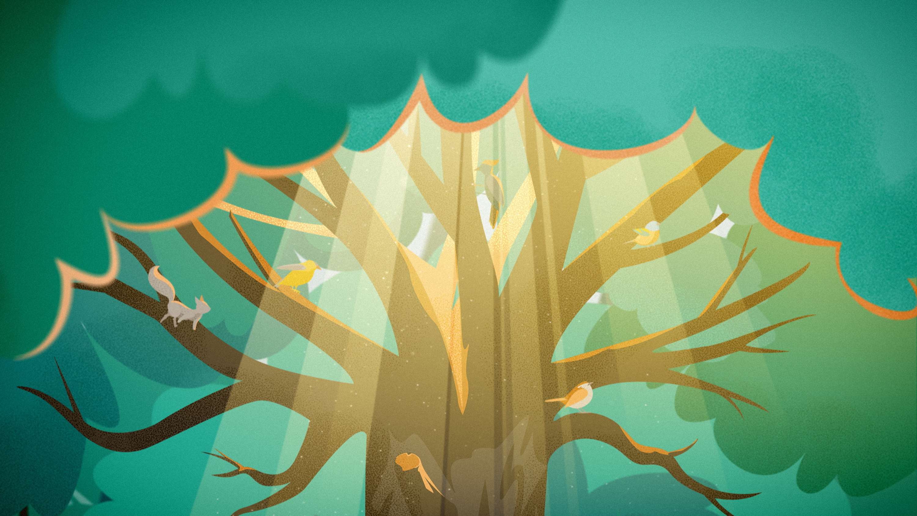 Better Place Forests. How it works by Eugene Borodulin