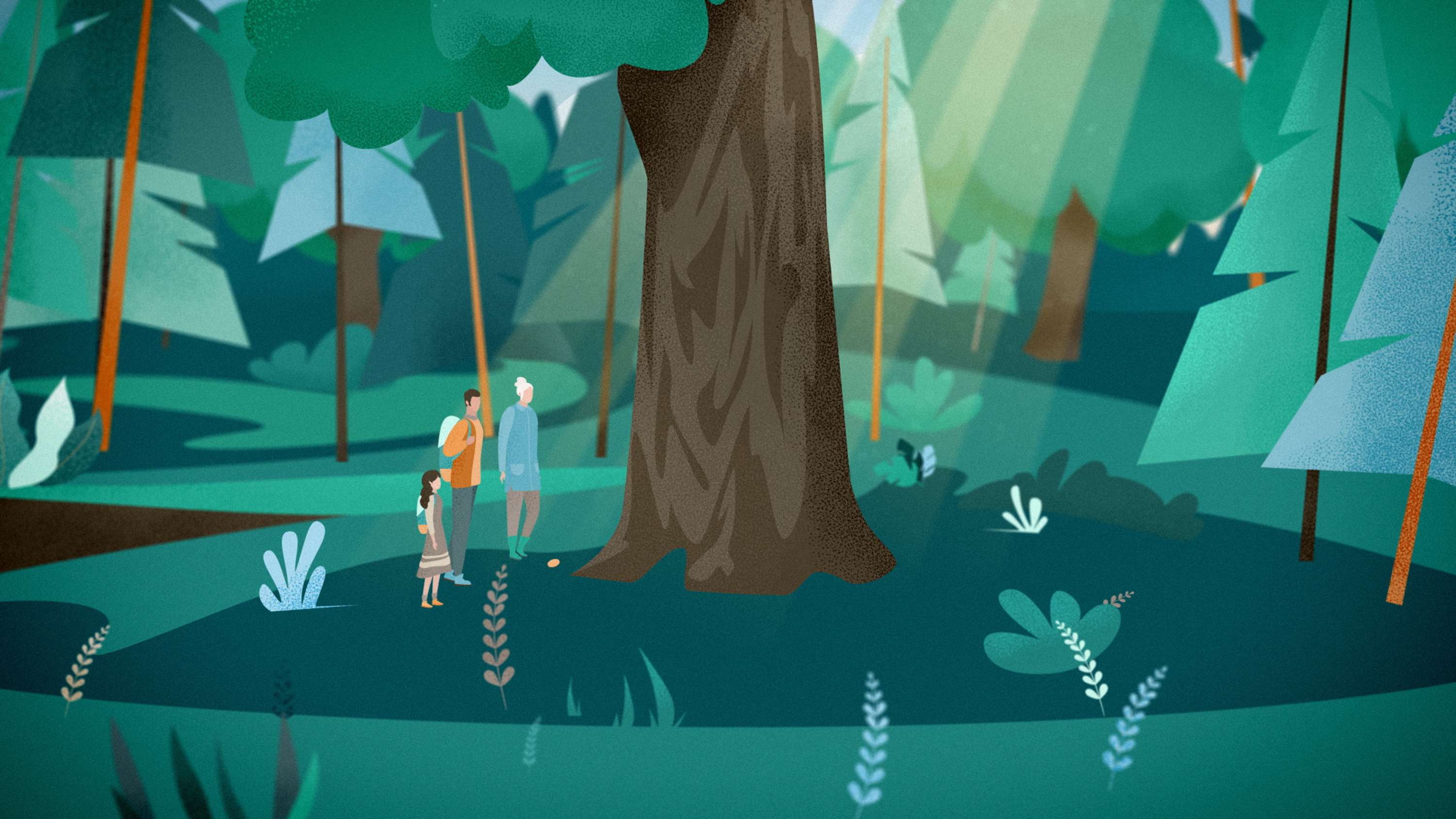 Better Place Forests. How it works by Eugene Borodulin