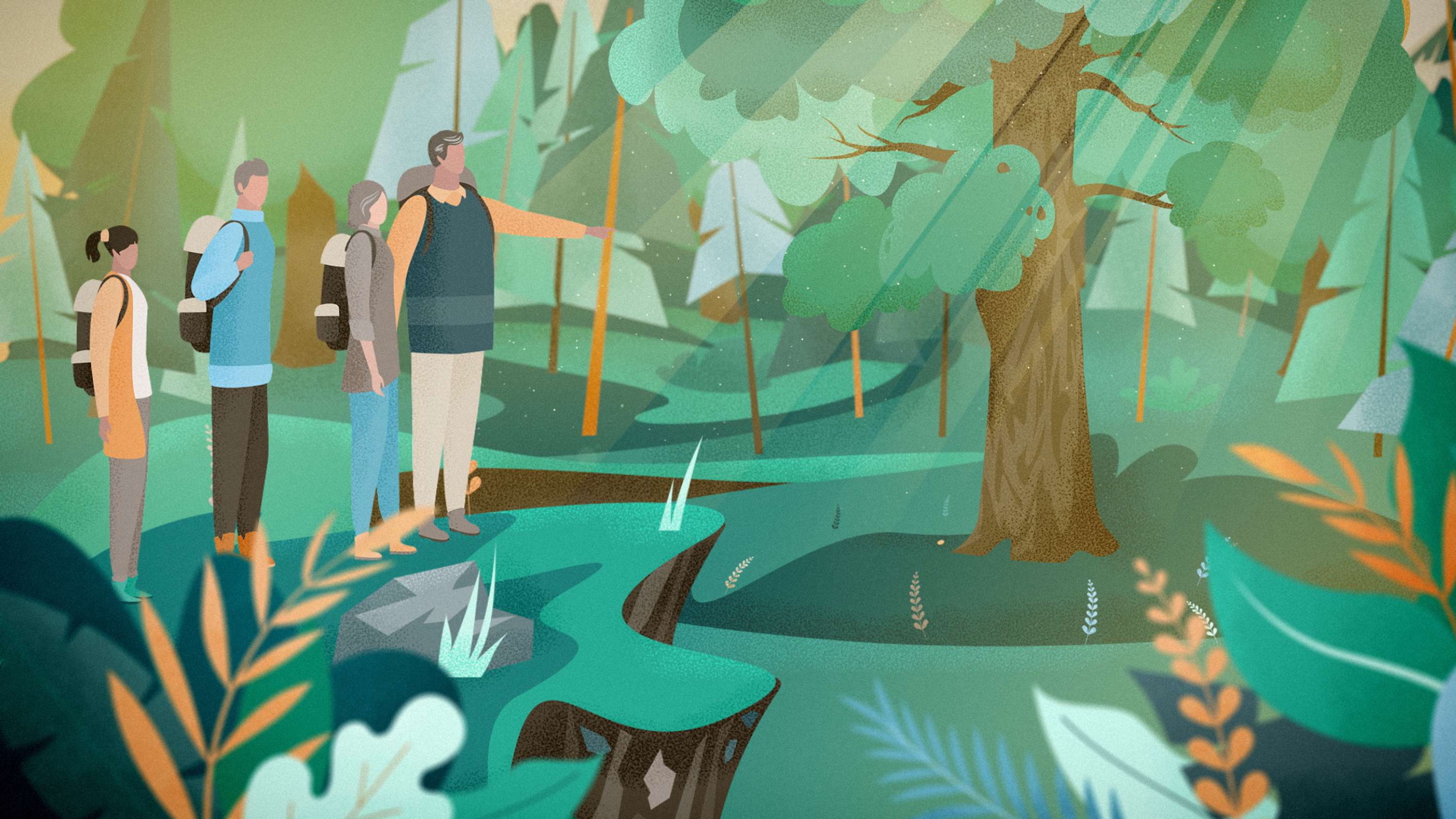 Better Place Forests. How it works by Eugene Borodulin