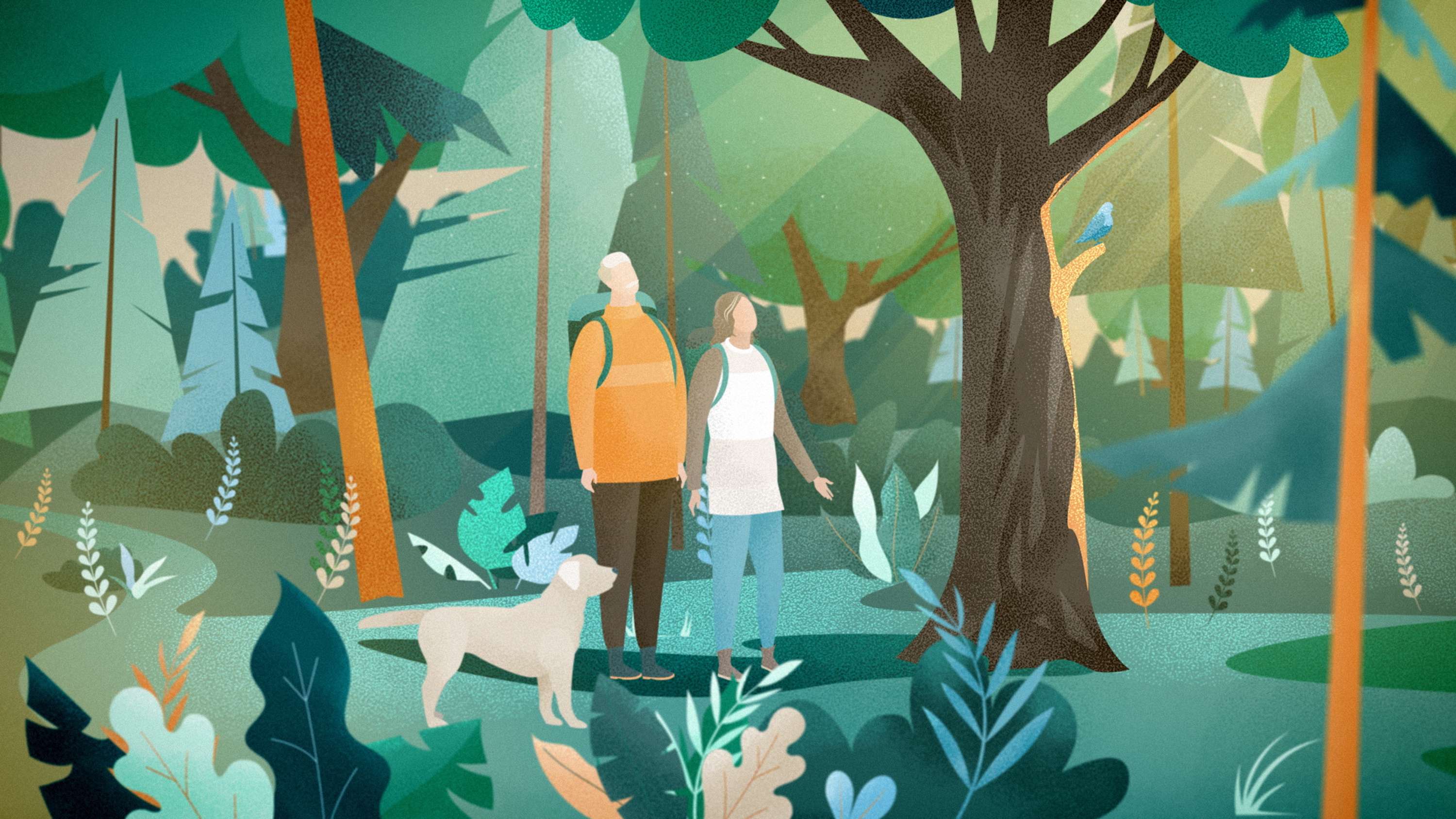 Better Place Forests. How it works by Eugene Borodulin