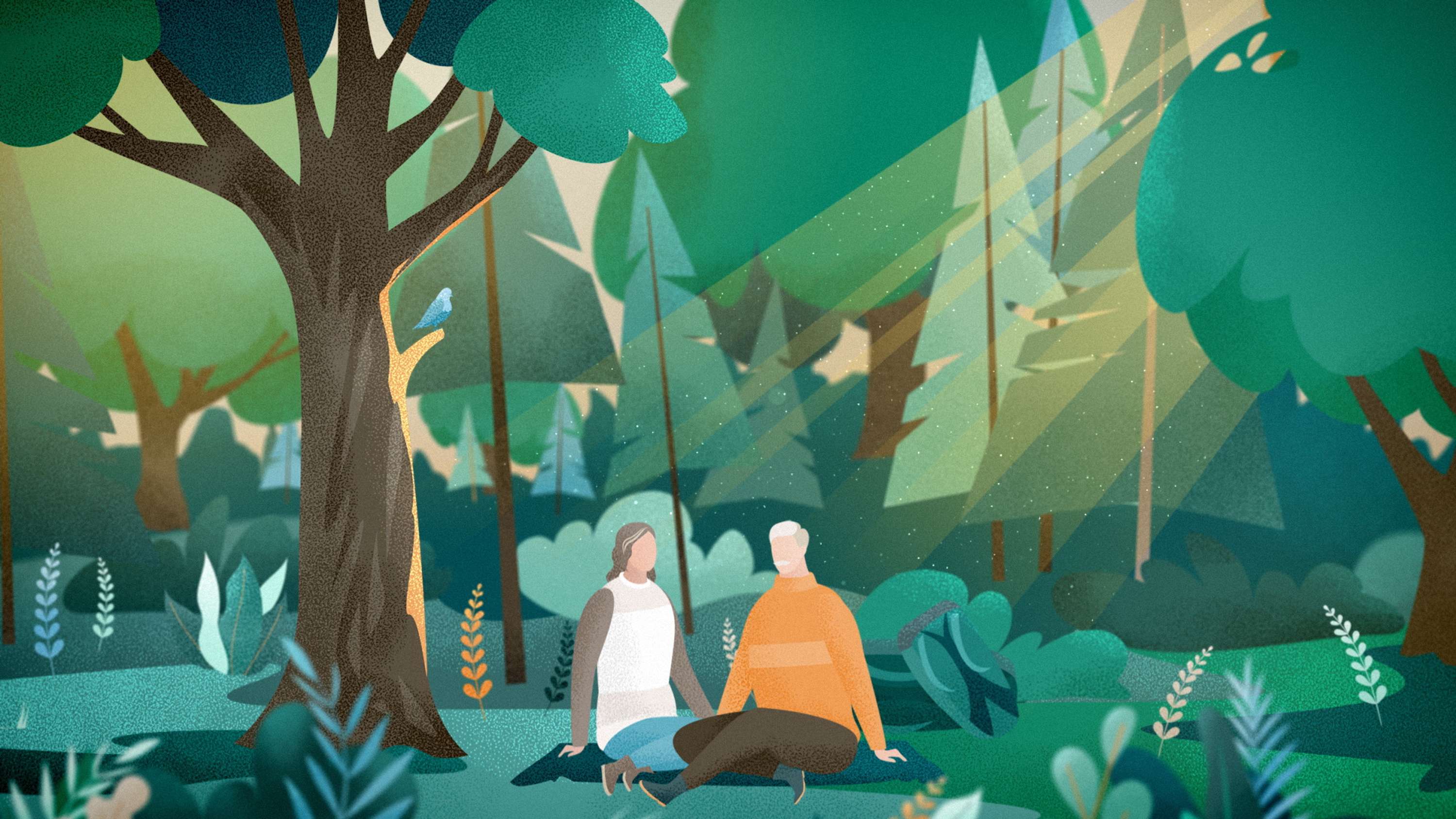 Better Place Forests. How it works by Eugene Borodulin