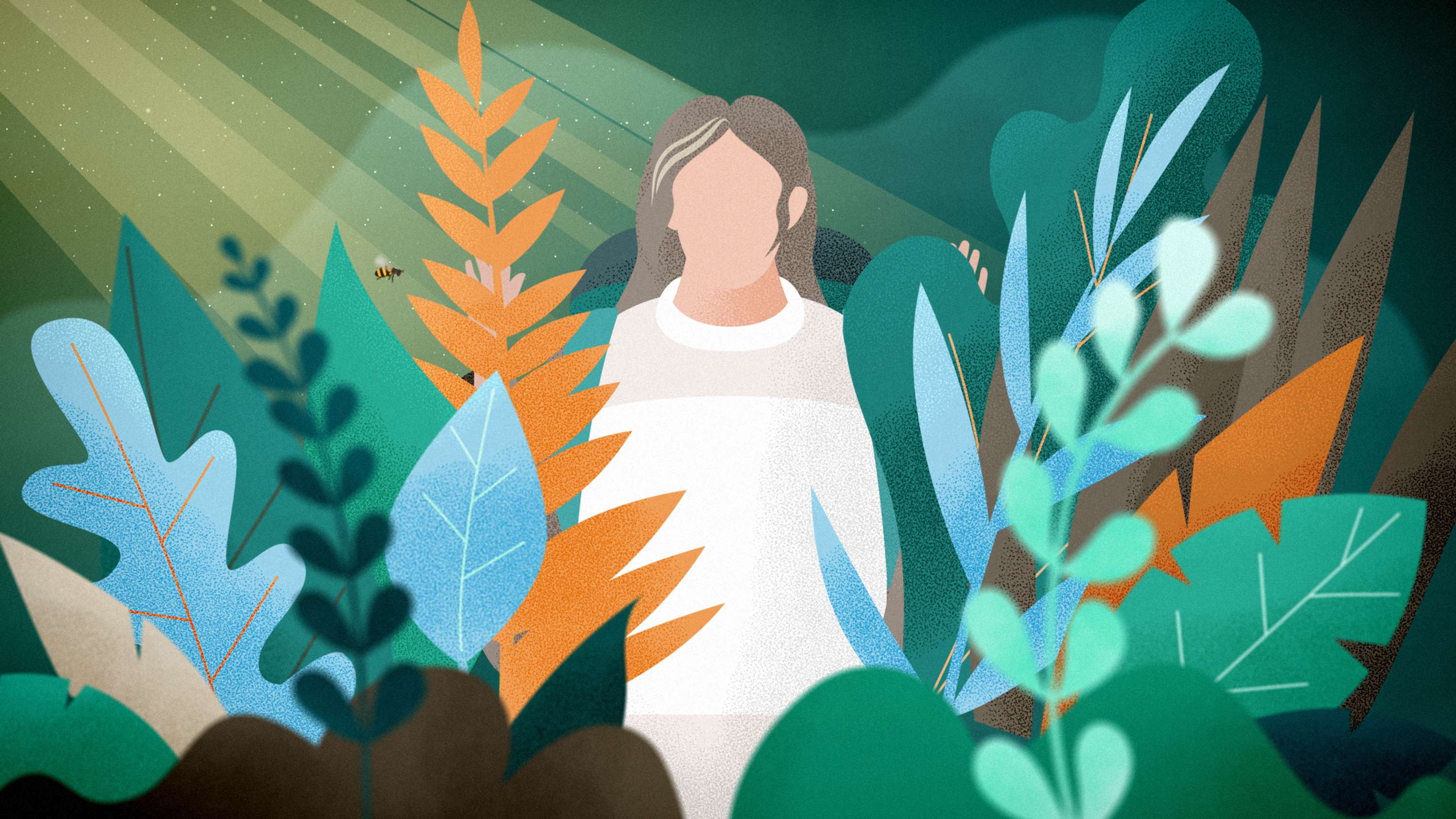 Better Place Forests. How it works by Eugene Borodulin