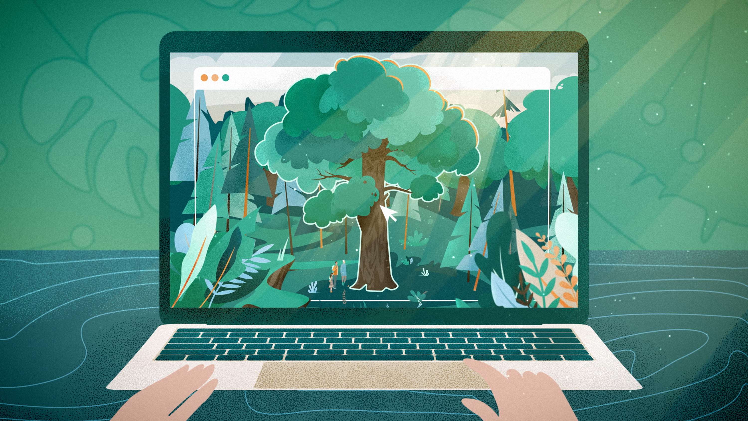Better Place Forests. How it works by Eugene Borodulin