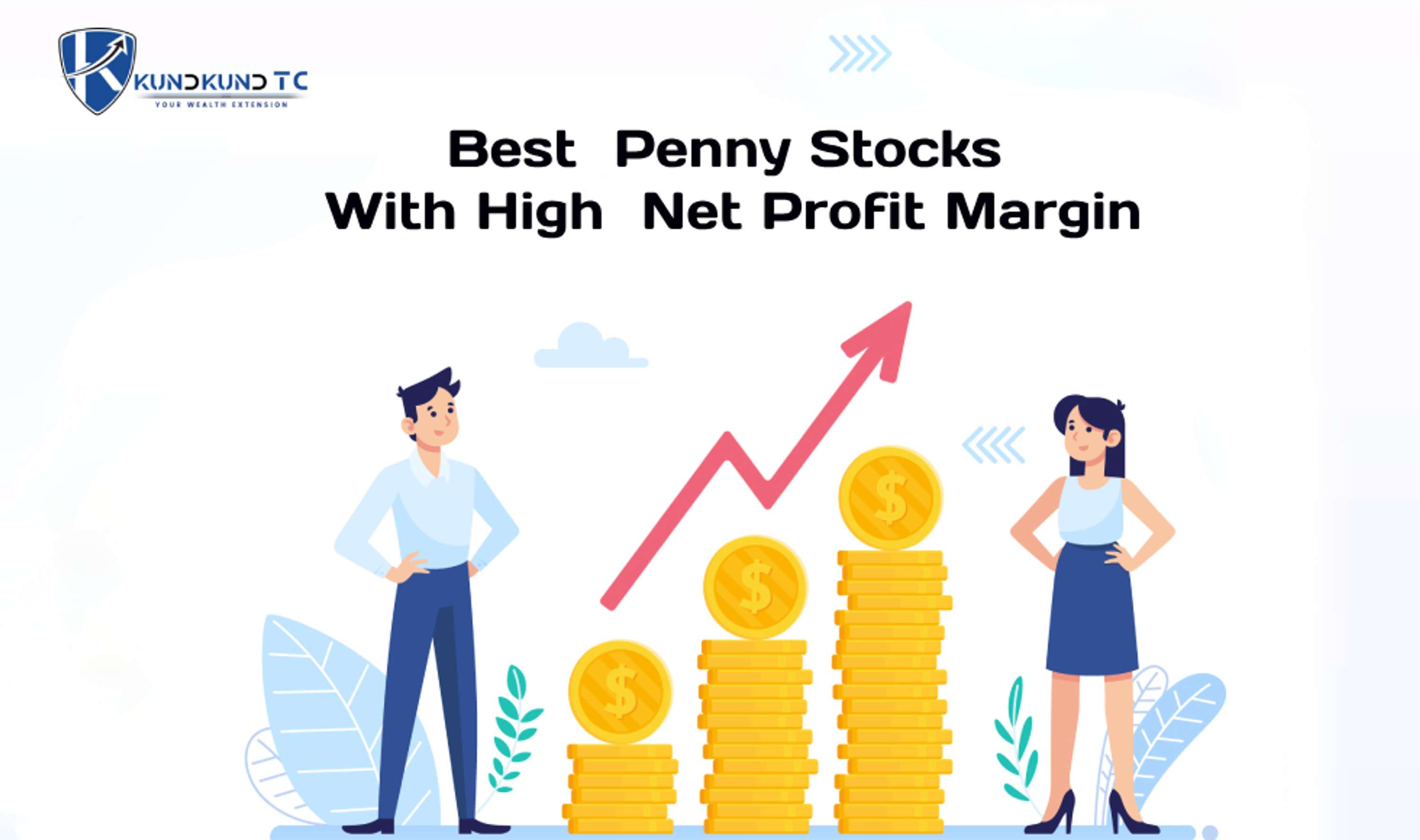 Best Penny Stocks With High Net Profit Margin by kundkund tc