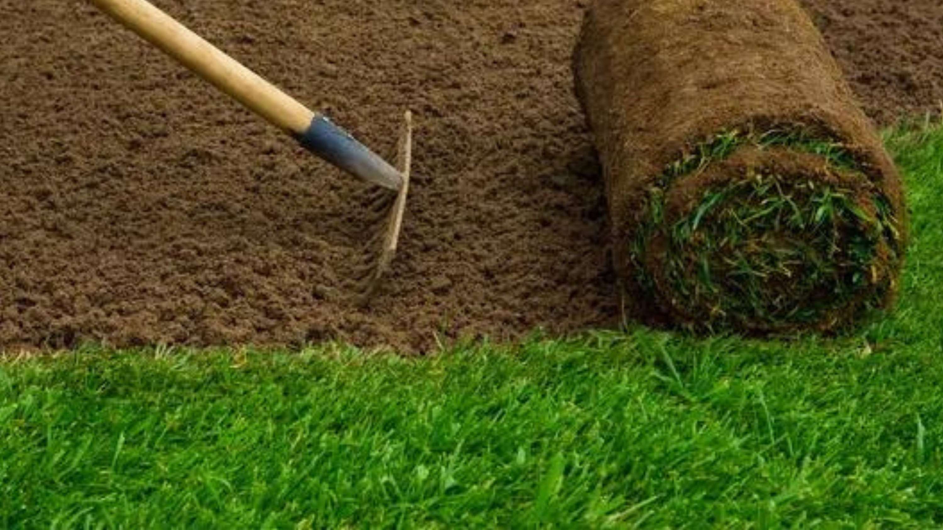What Is the Difference Between Artificial Grass And Turf by Orange Landscaping LLC