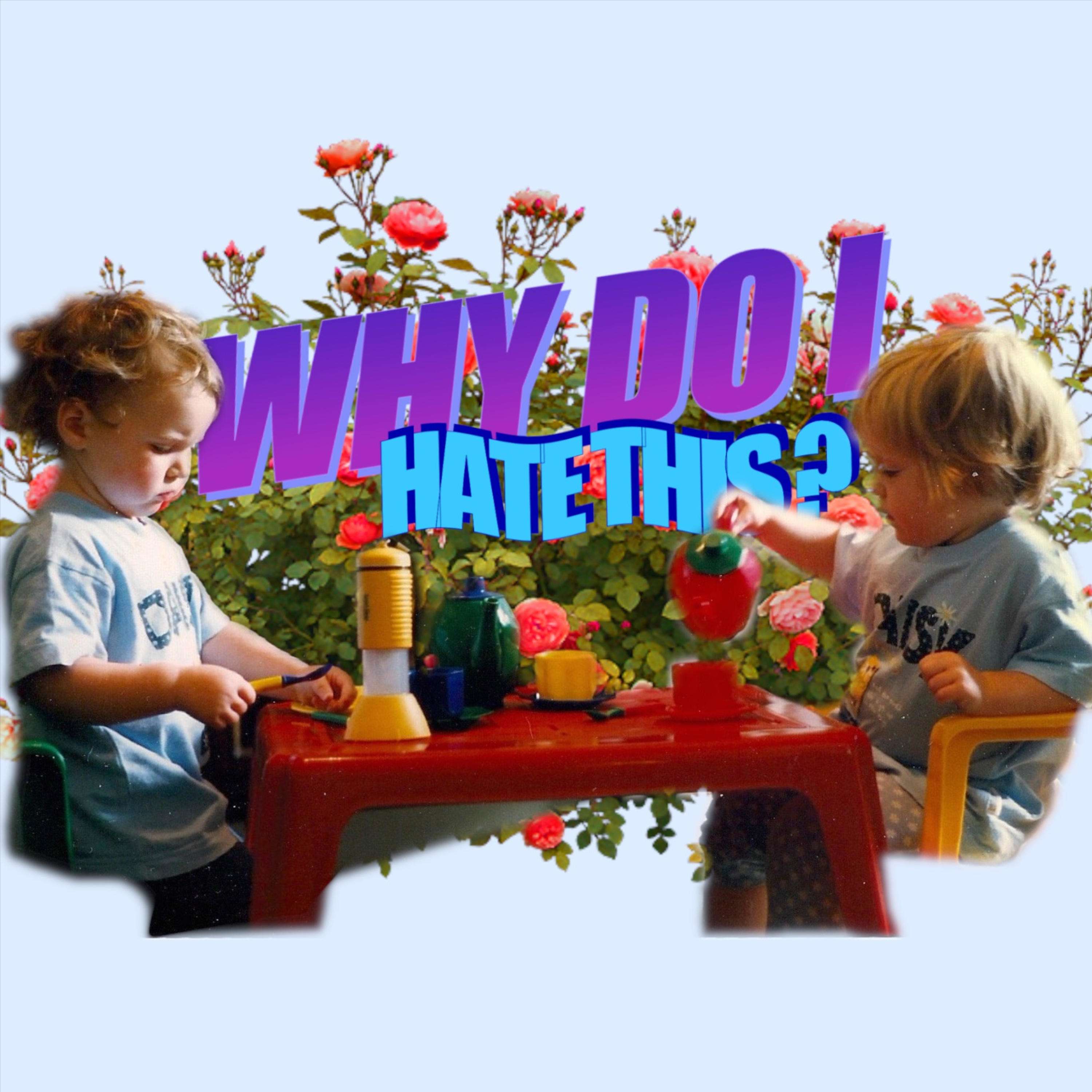 Why Do I Hate This? by John Collins