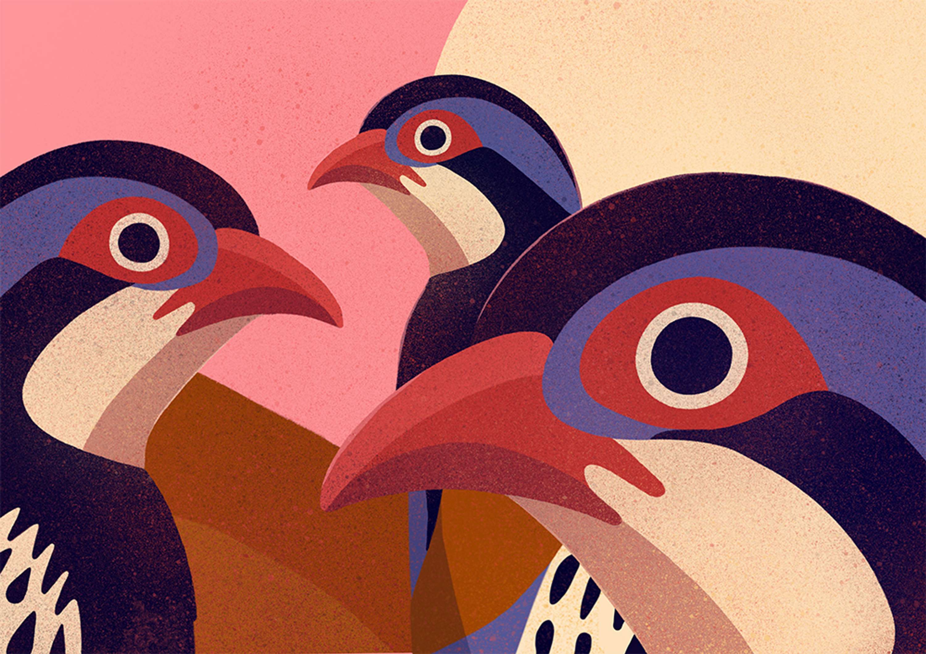Bird Calendar by Anna Broadhurst