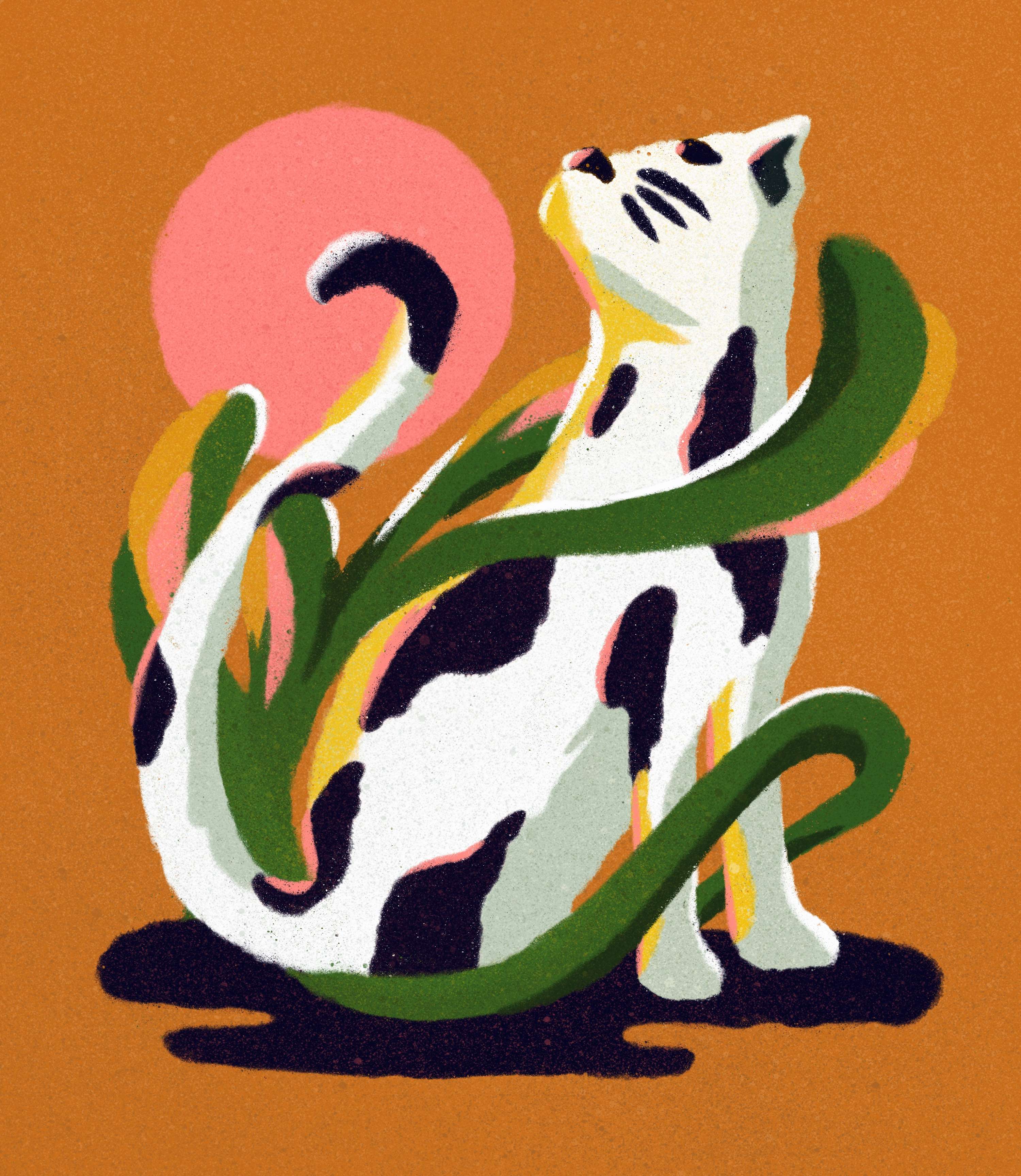 Cat by Anna Broadhurst
