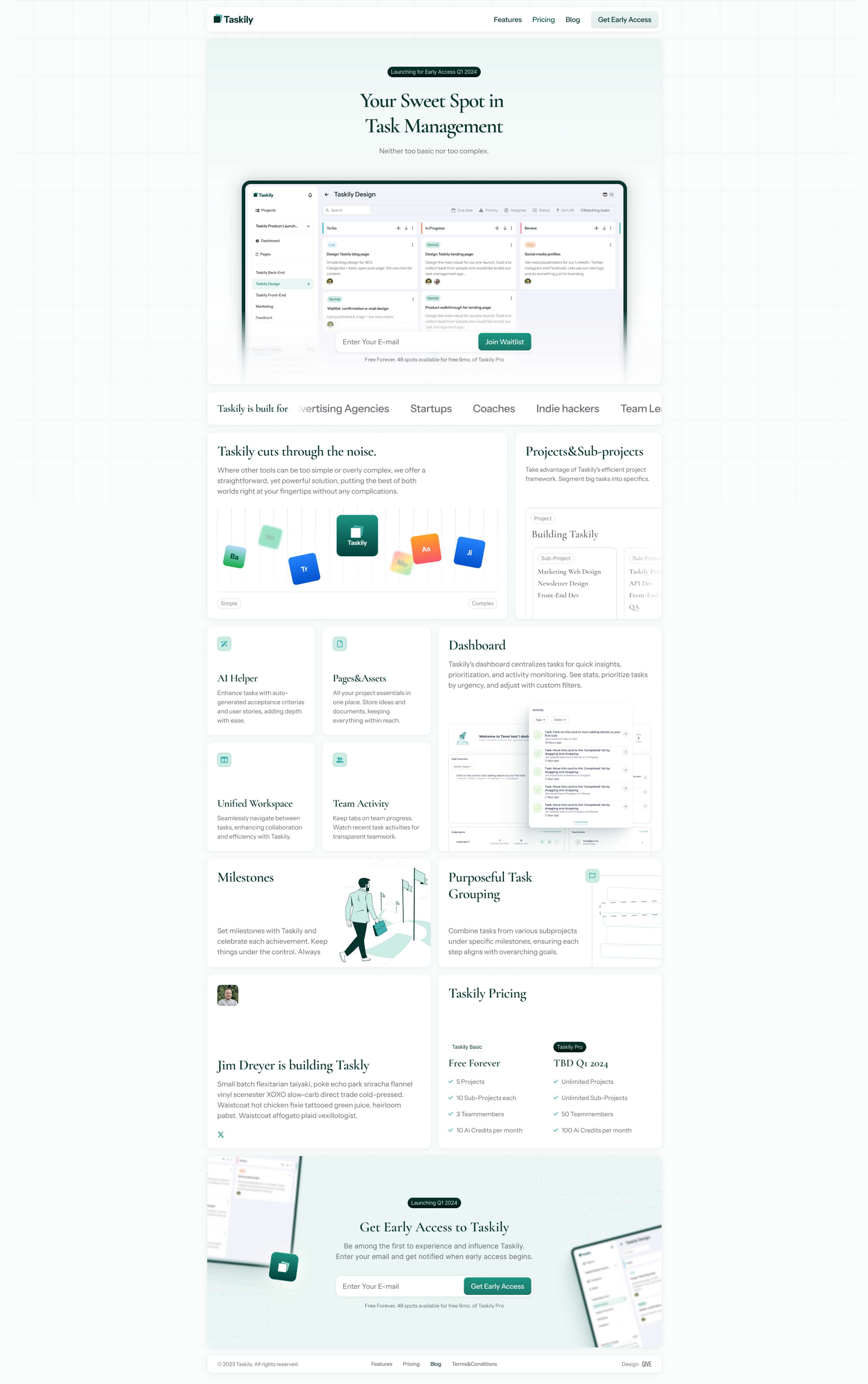 Taskily brand identity&landing page design + SaaS dashboard concept by Tanel S