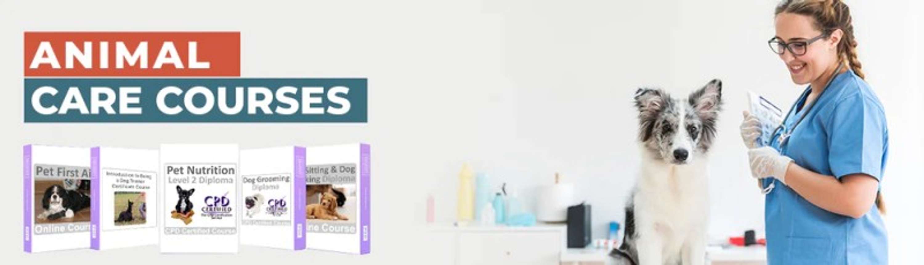 Charting Success: Navigating a Diverse Learning Landscape with Expert-Driven Courses by learning 247