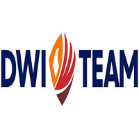 The DWI TEAM logo