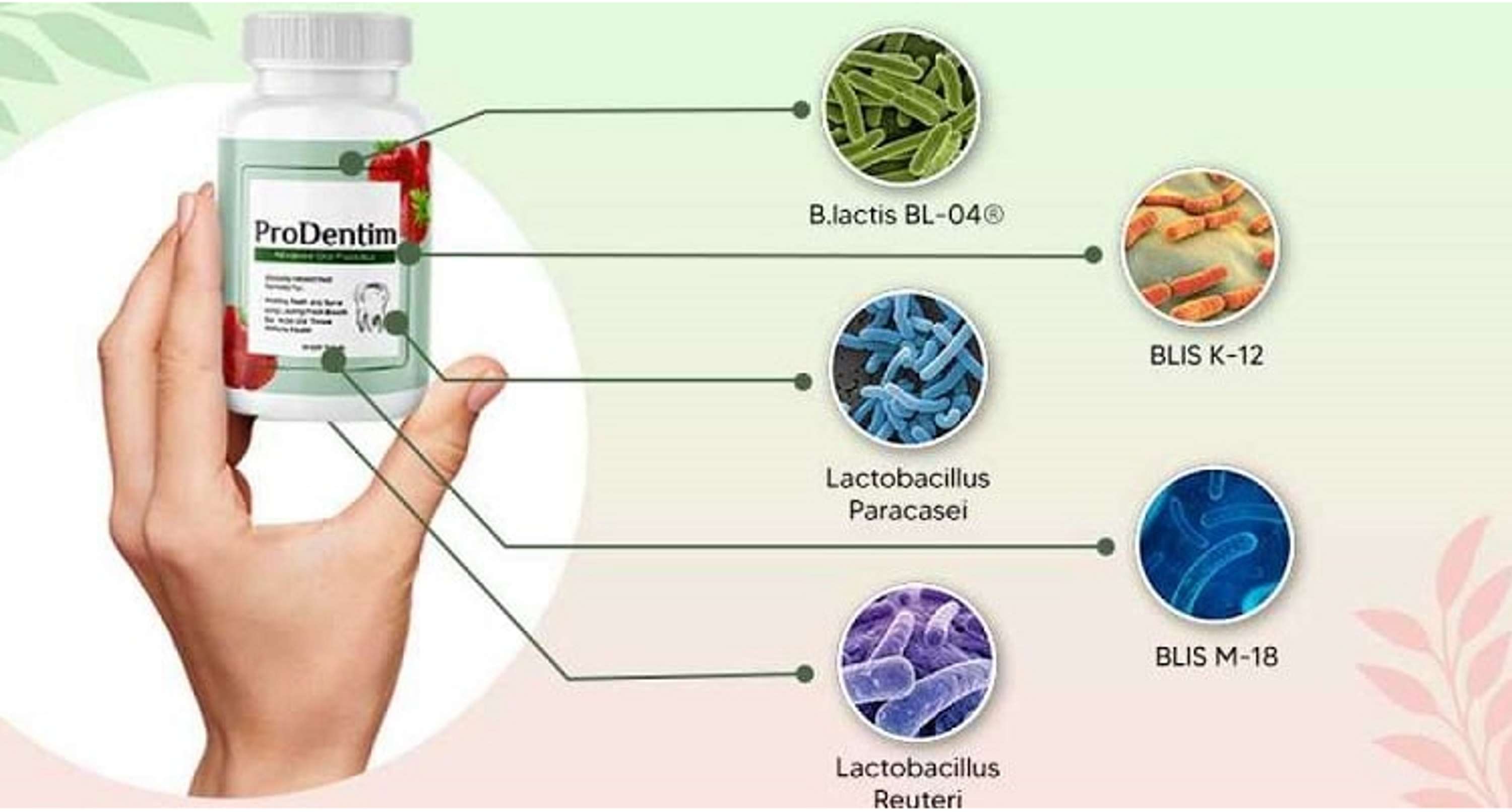 ProDentim: Ingredients Alert Must You Need To Know by Health Care