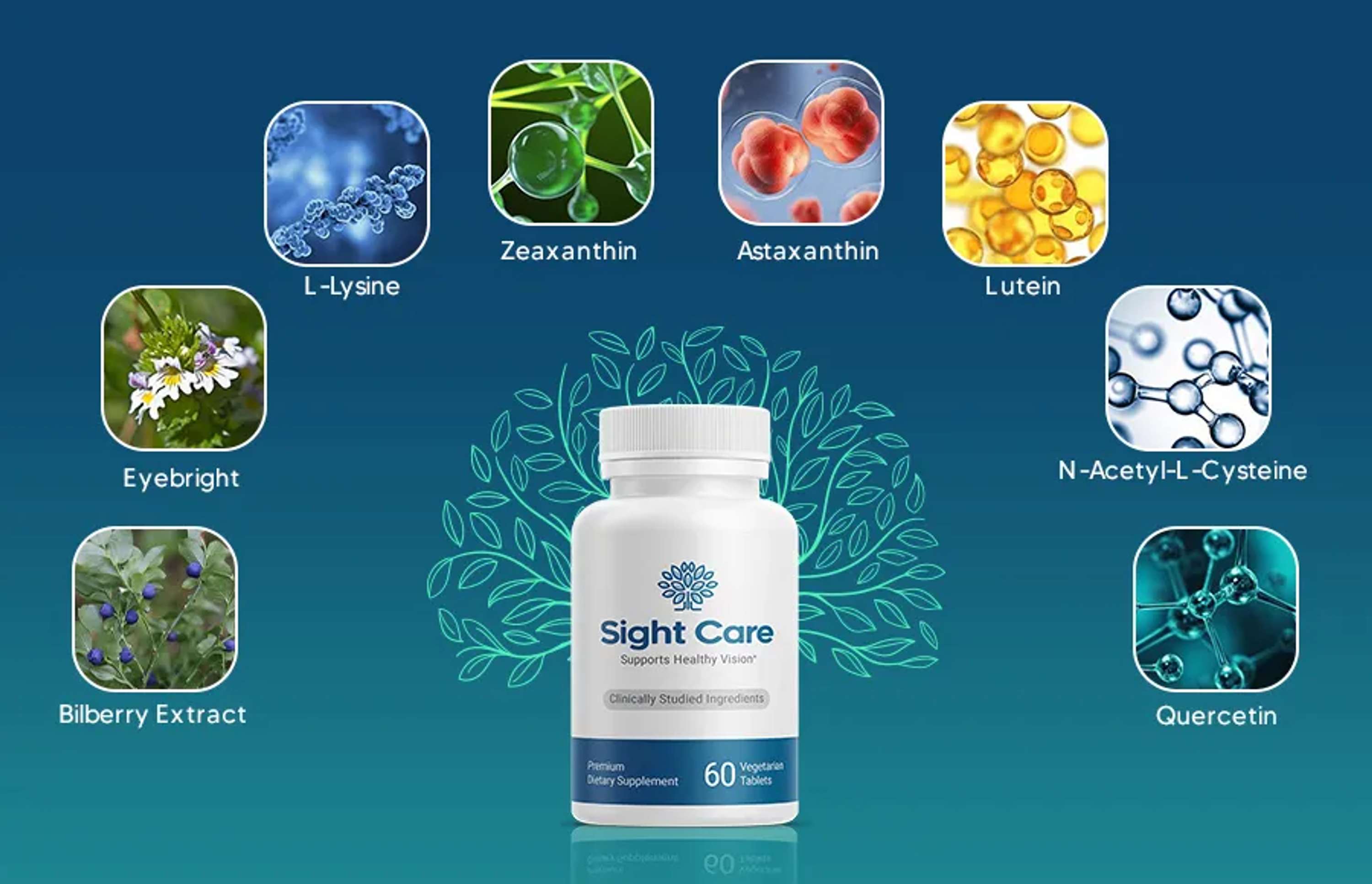 Sight Care Reviews For Nov Know About This Before Order Online by Mikel Milan