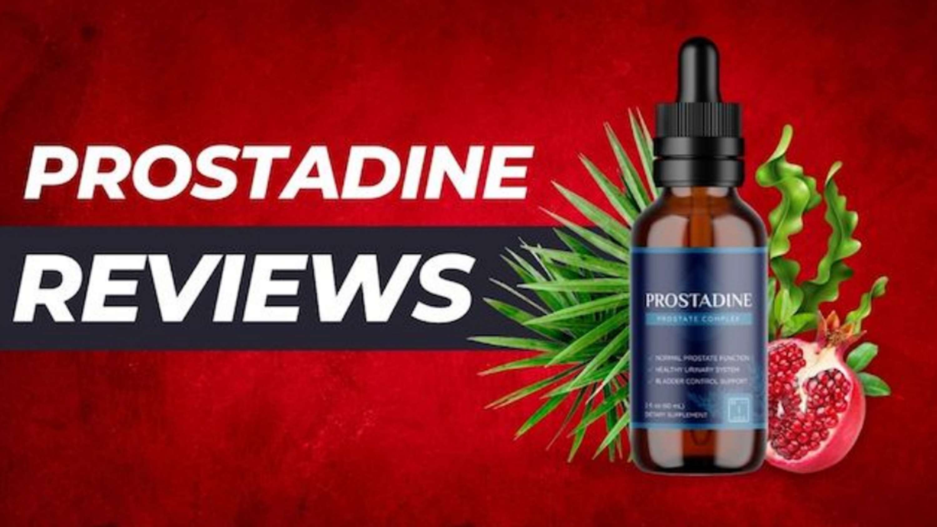 Prostadine: Ingredients Alert Must You Need To Know by Health Care