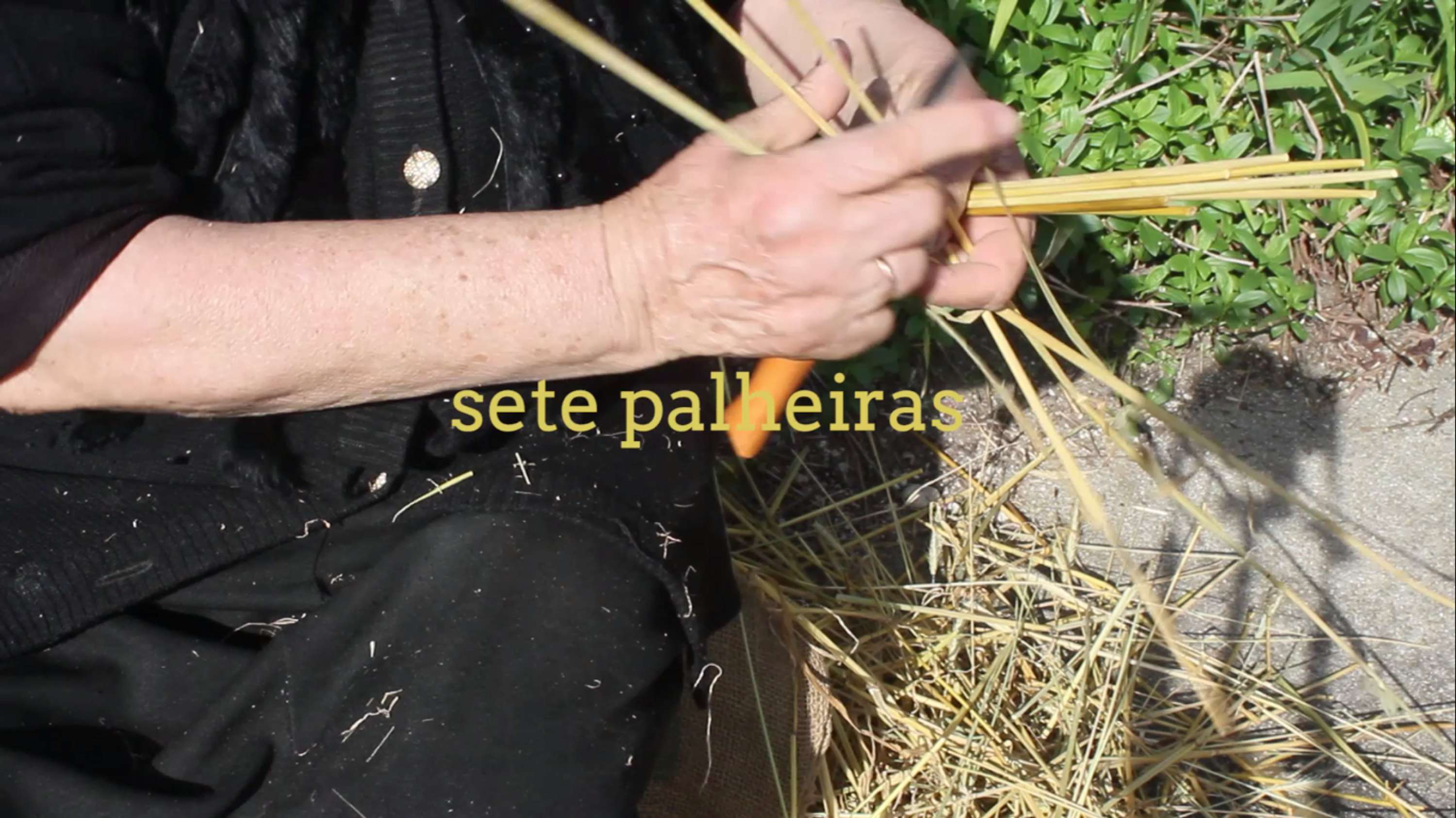 sete palheiras by Filipa Matias
