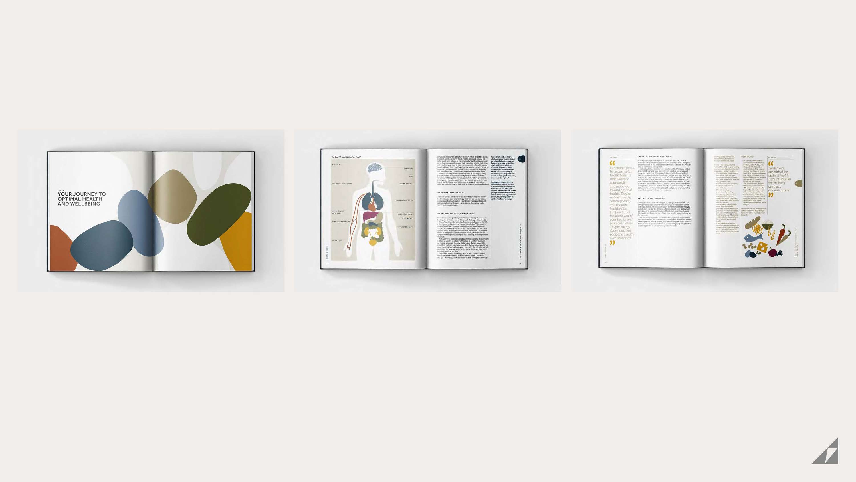 Portfolio of work – 2023 by Andrea Murphy