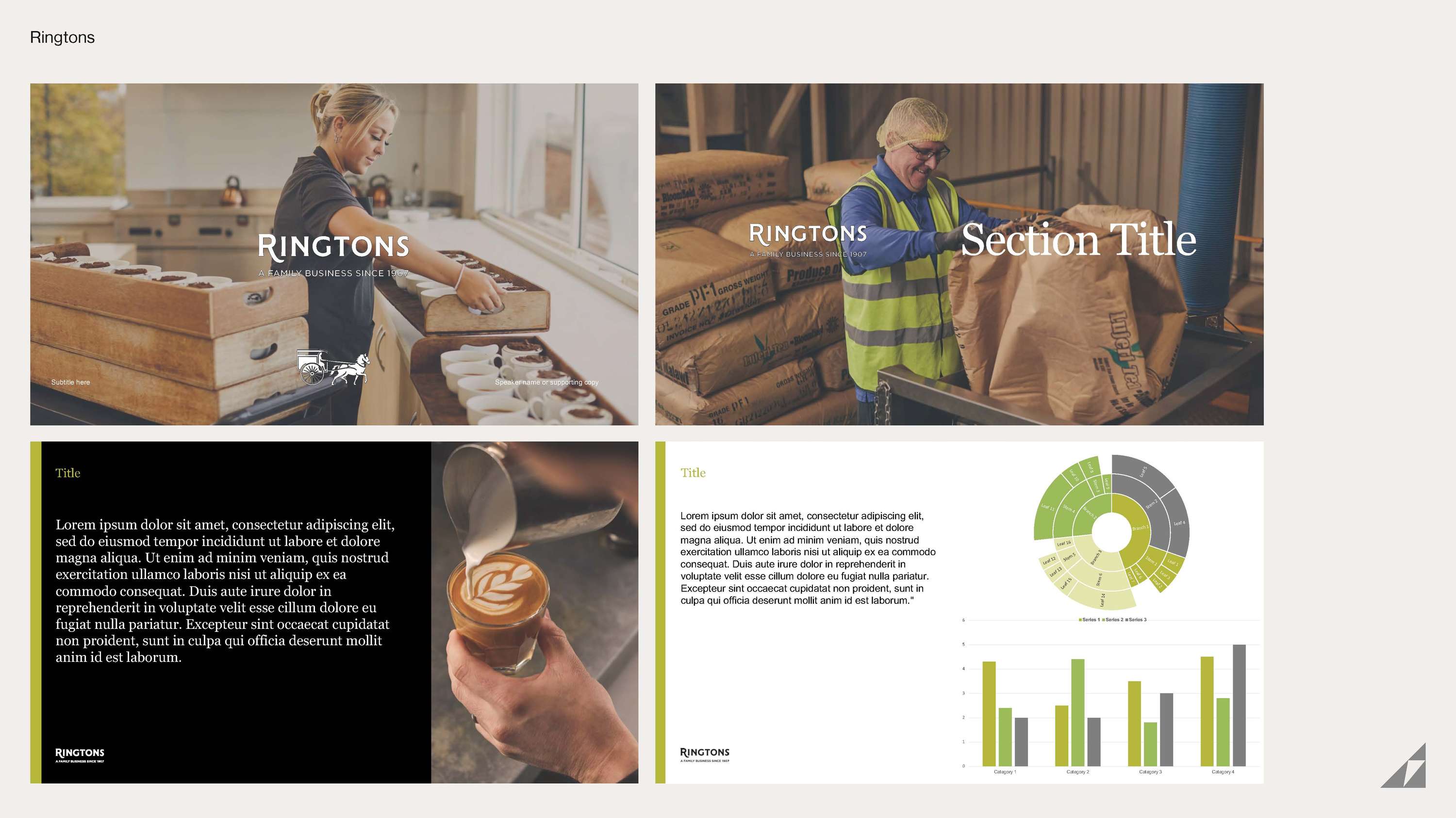 Portfolio of work – 2023 by Andrea Murphy