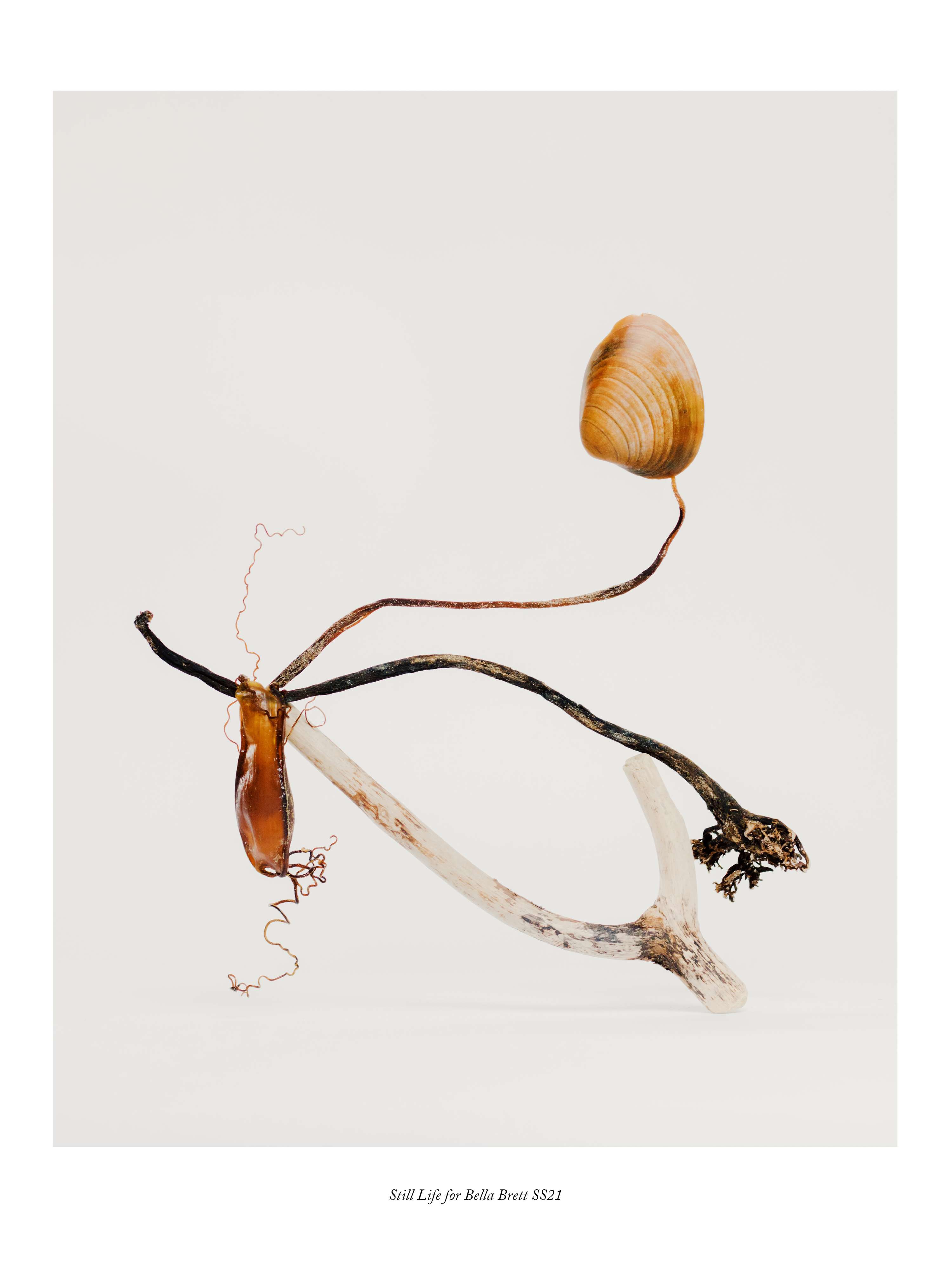 Portfolio, 2024 by Megan Dalton