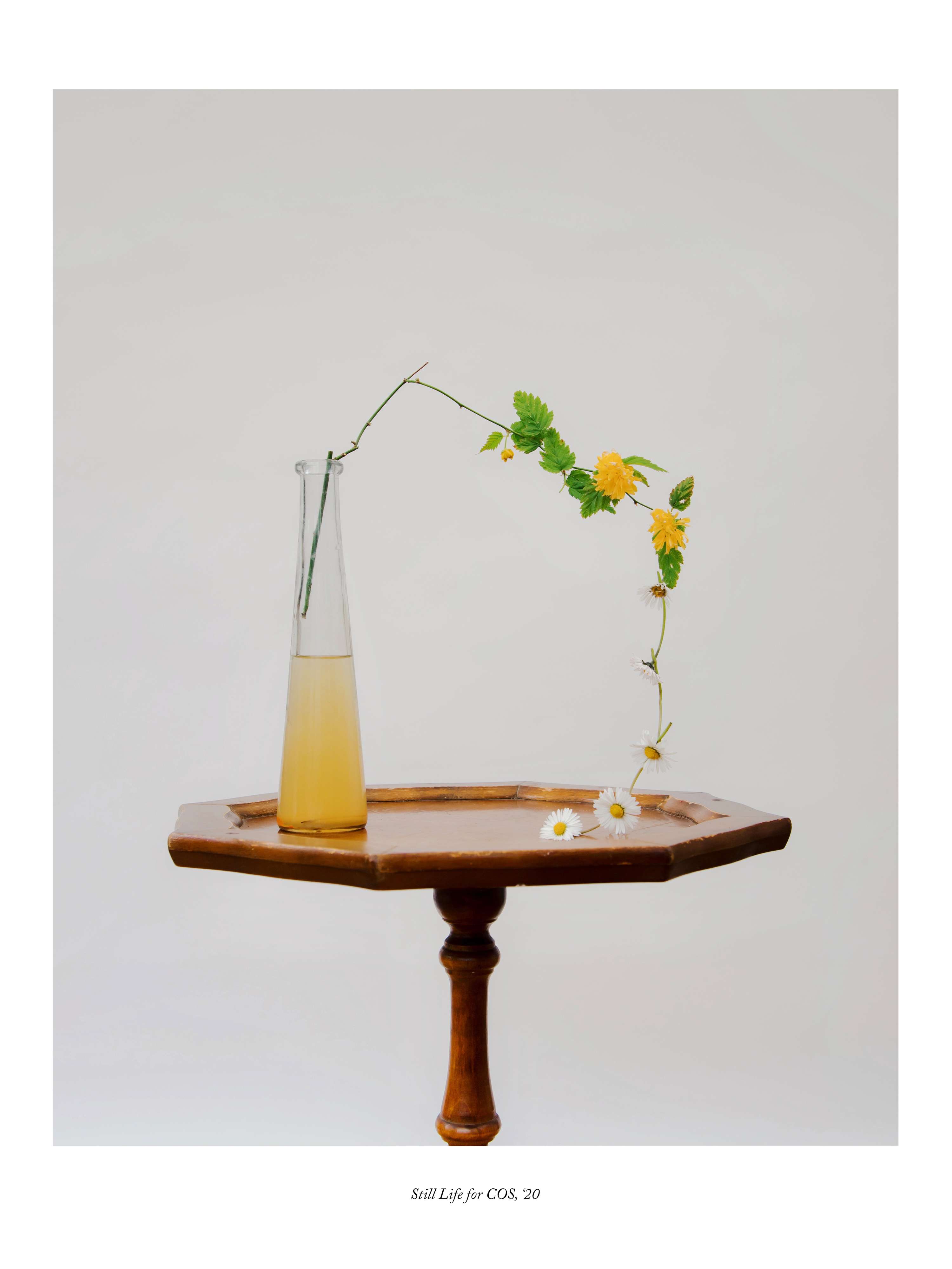 Portfolio, 2024 by Megan Dalton