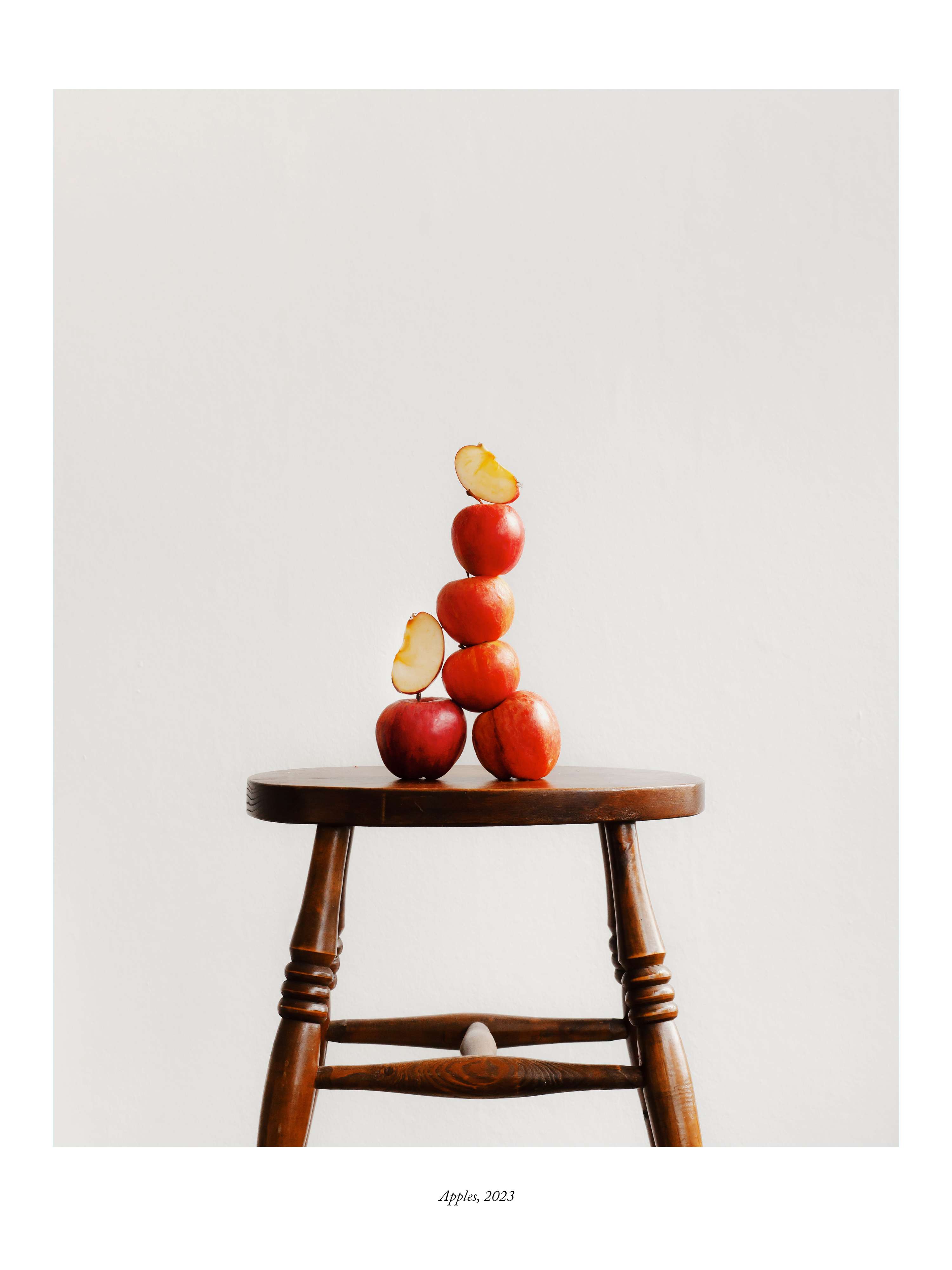 Portfolio, 2024 by Megan Dalton