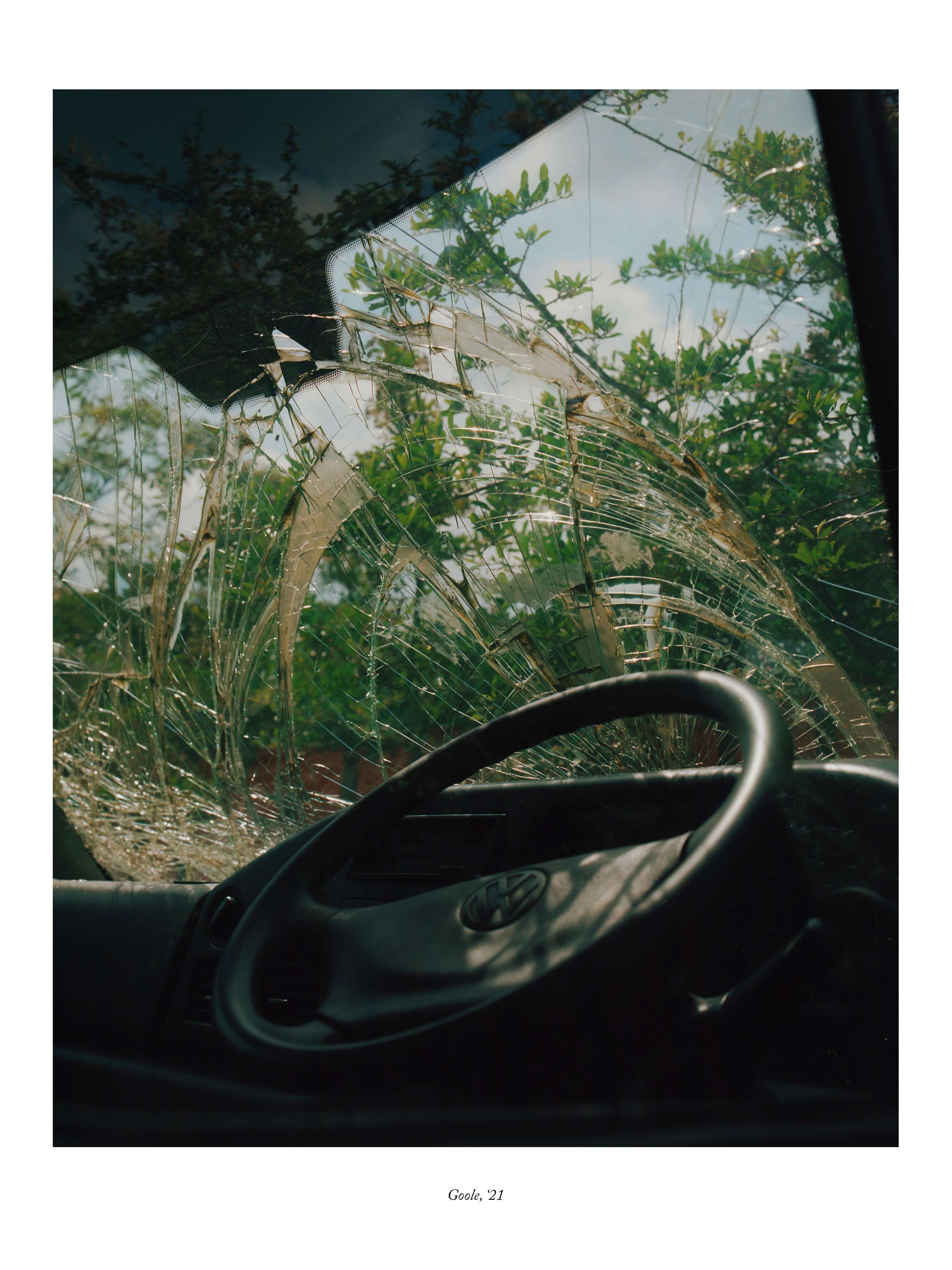 Portfolio, 2024 by Megan Dalton