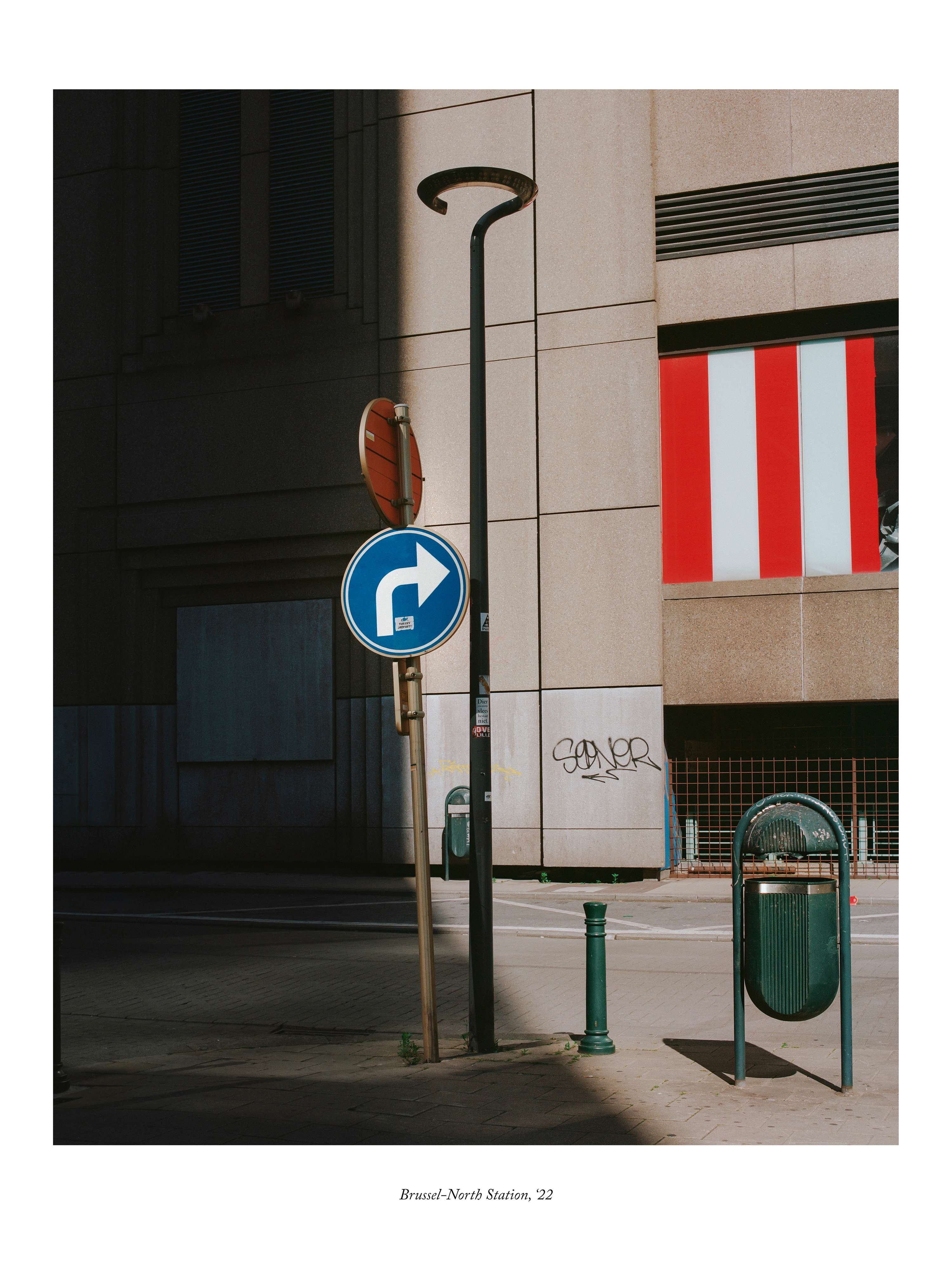 Portfolio, 2024 by Megan Dalton