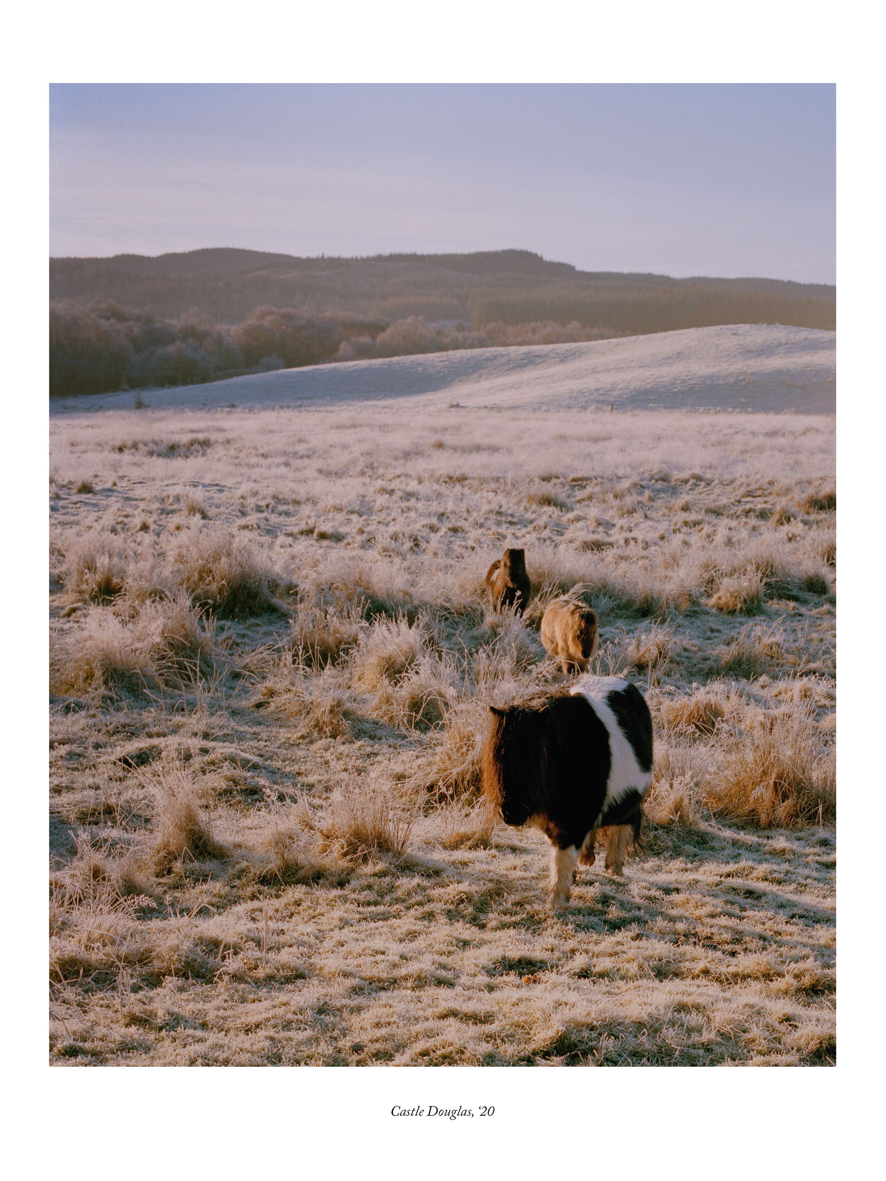 Portfolio, 2024 by Megan Dalton